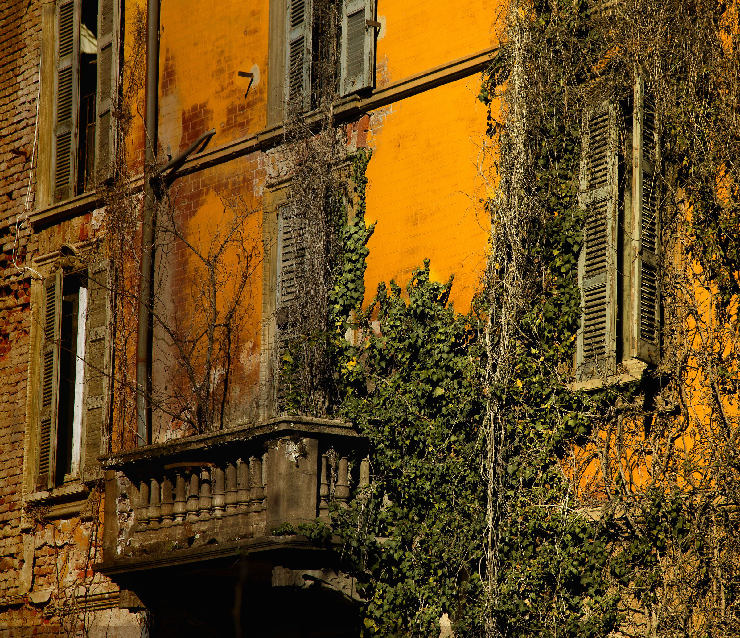 Old Colours