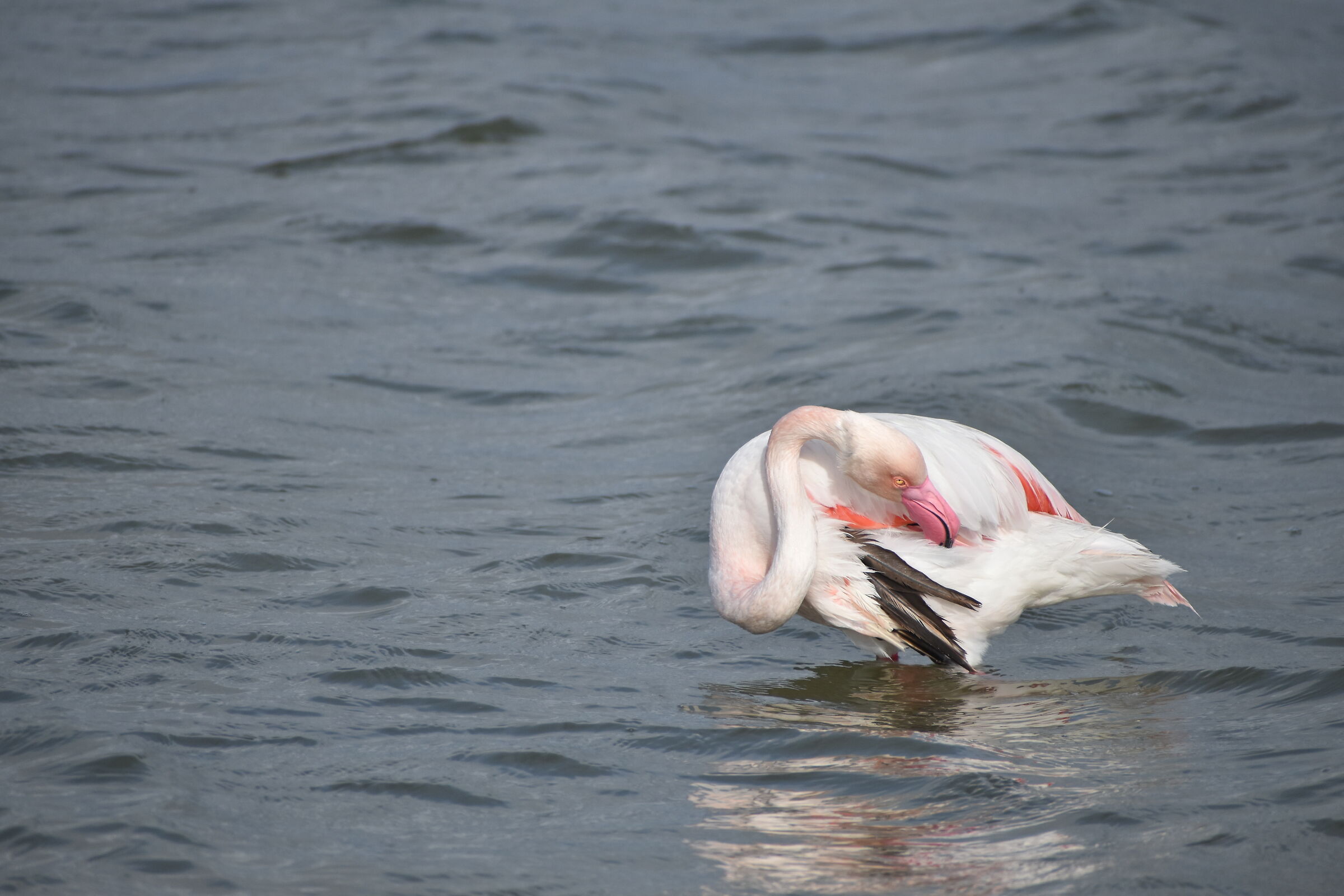 Ti tengo sottocchio....