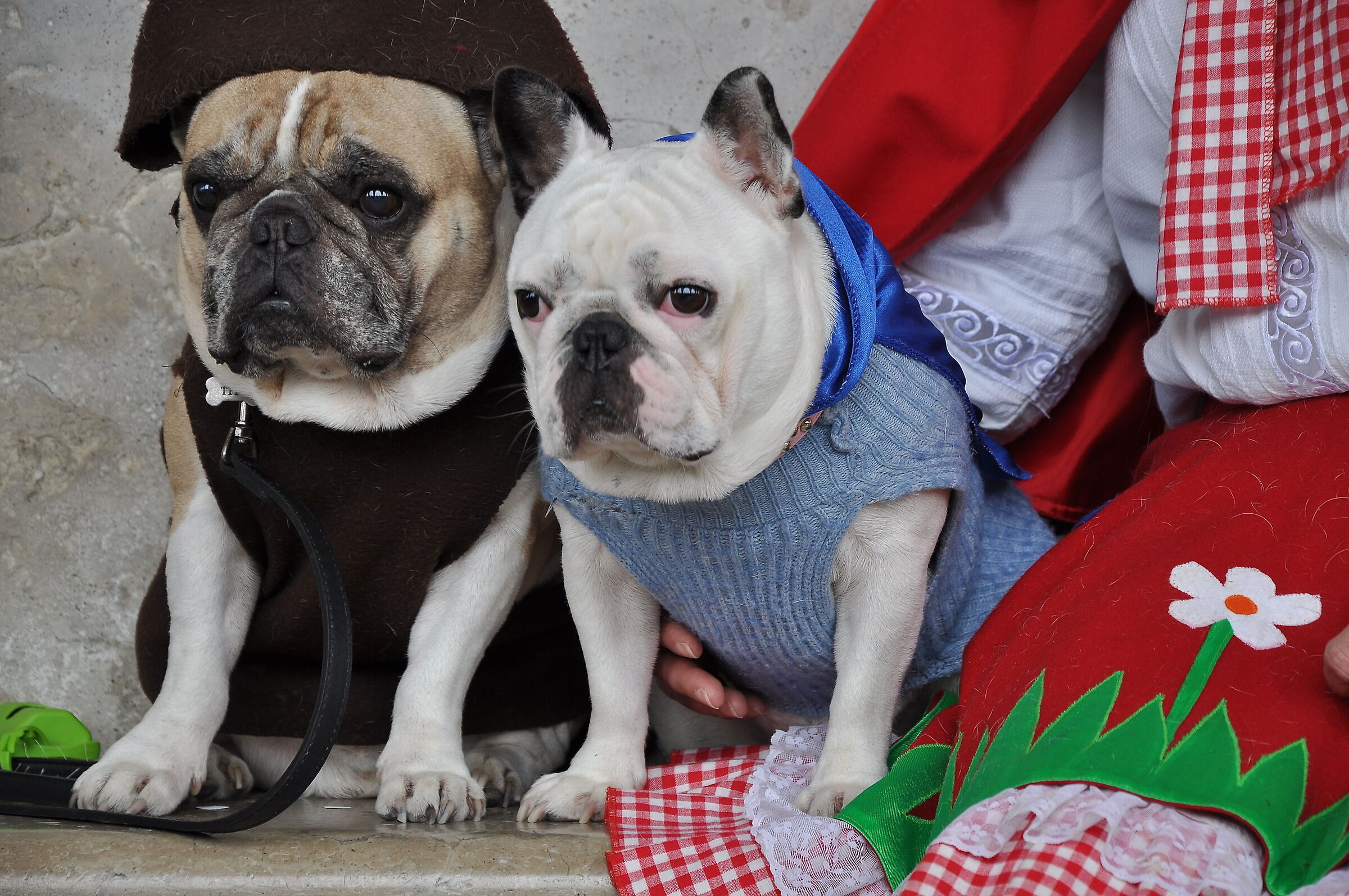 Una tenerissima coppia