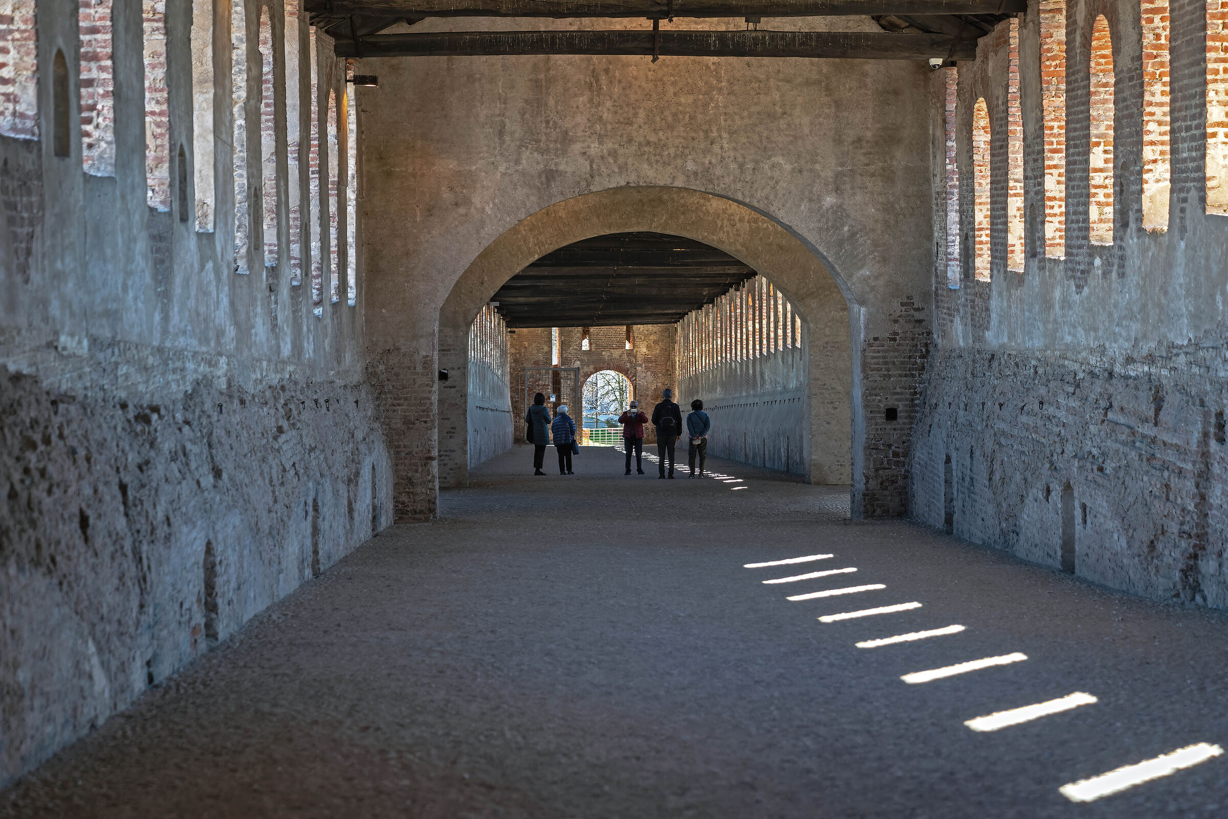 Photographer by chance