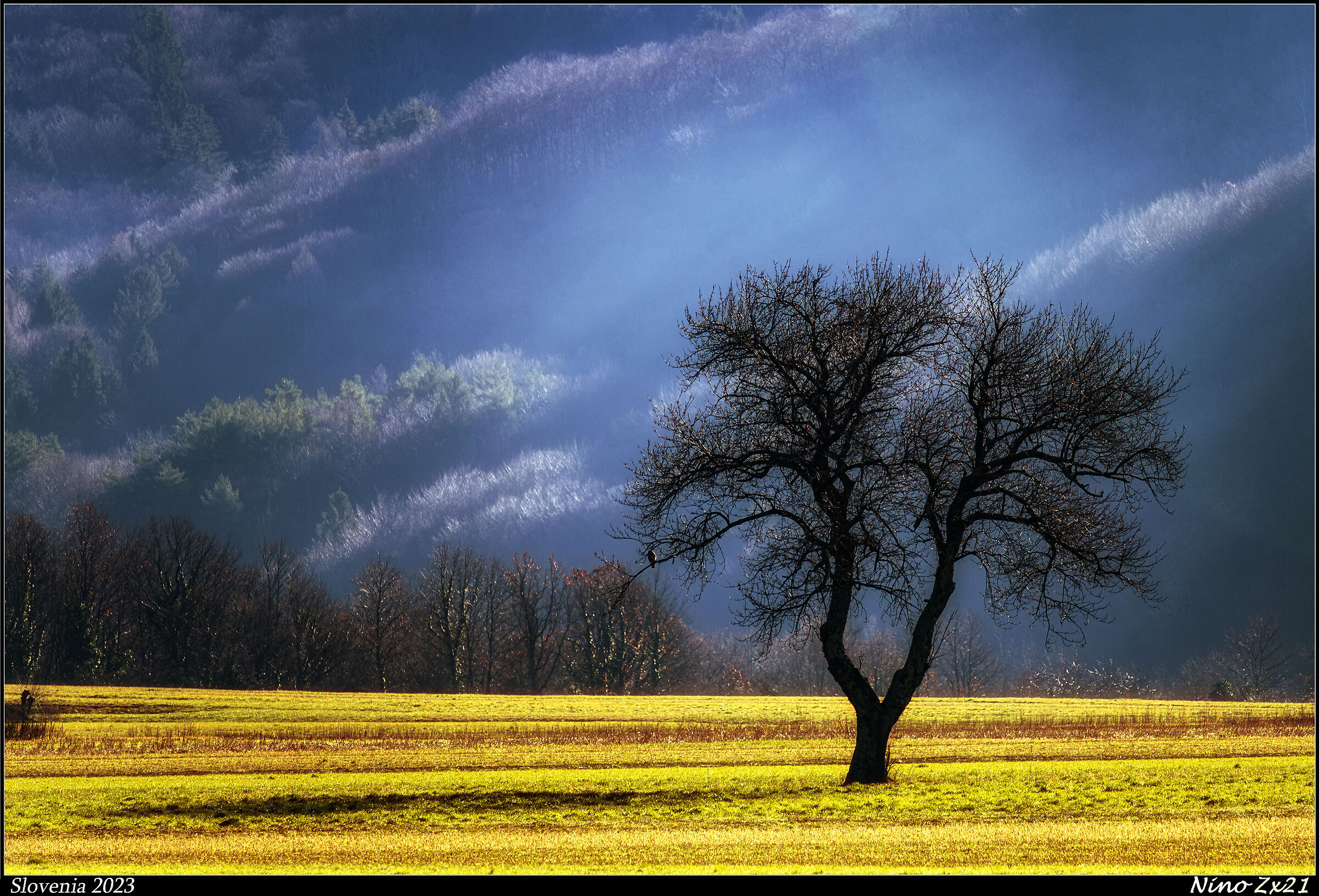 In una vallata in Slovenia.