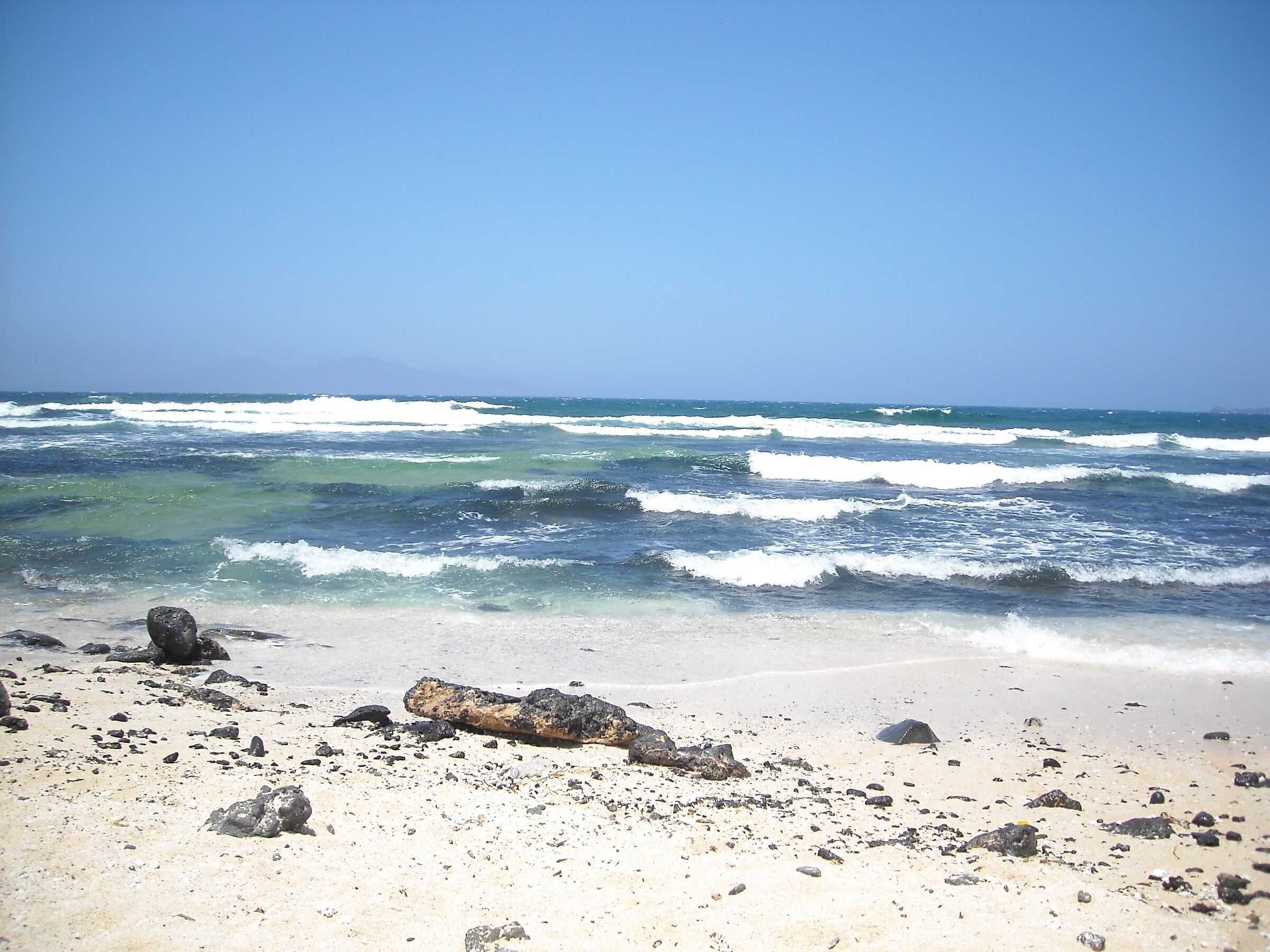 The Plajita