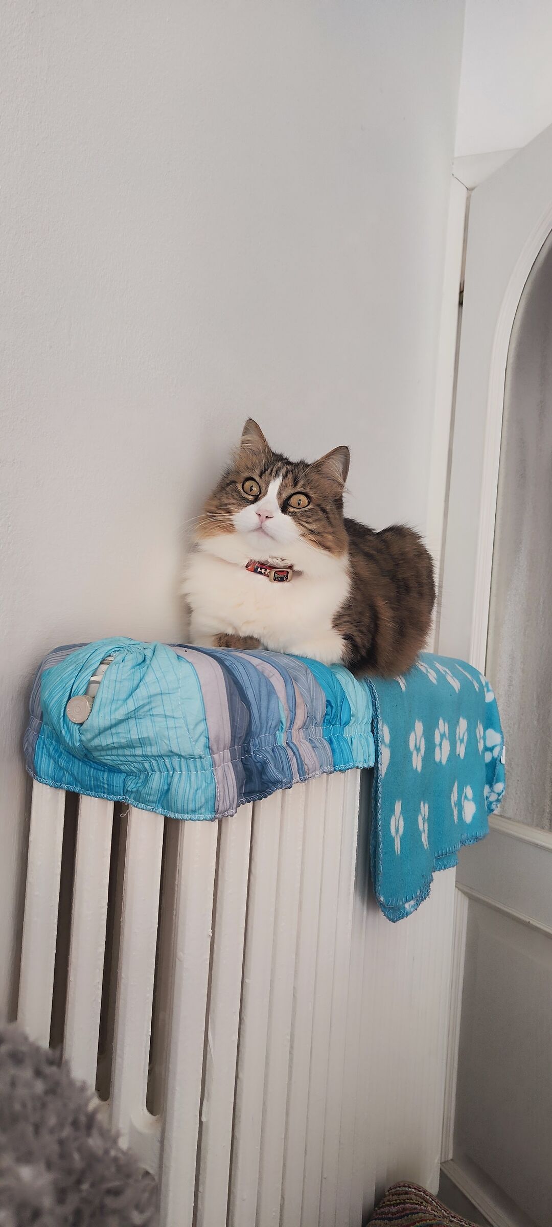 MINNIE
