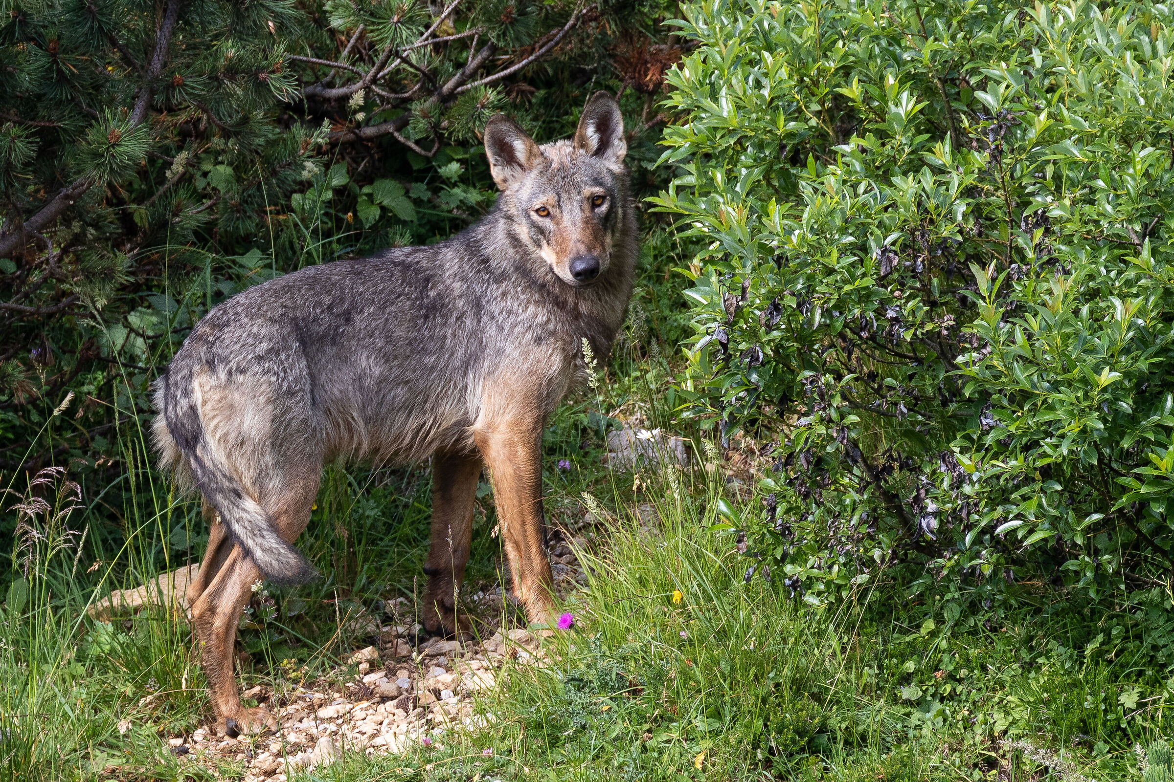 un incontro davvero emozionante