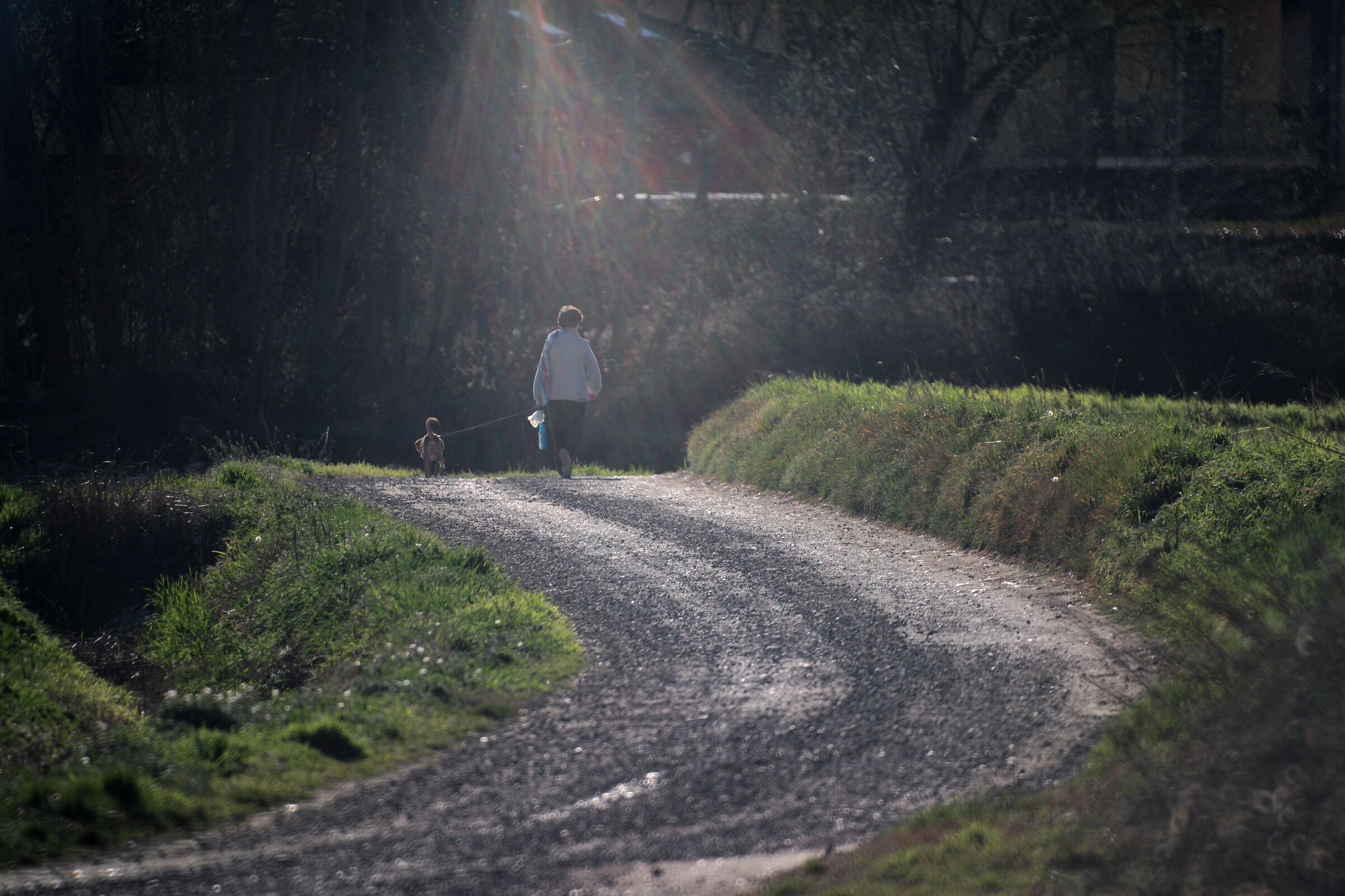 Tornano tutti a casa