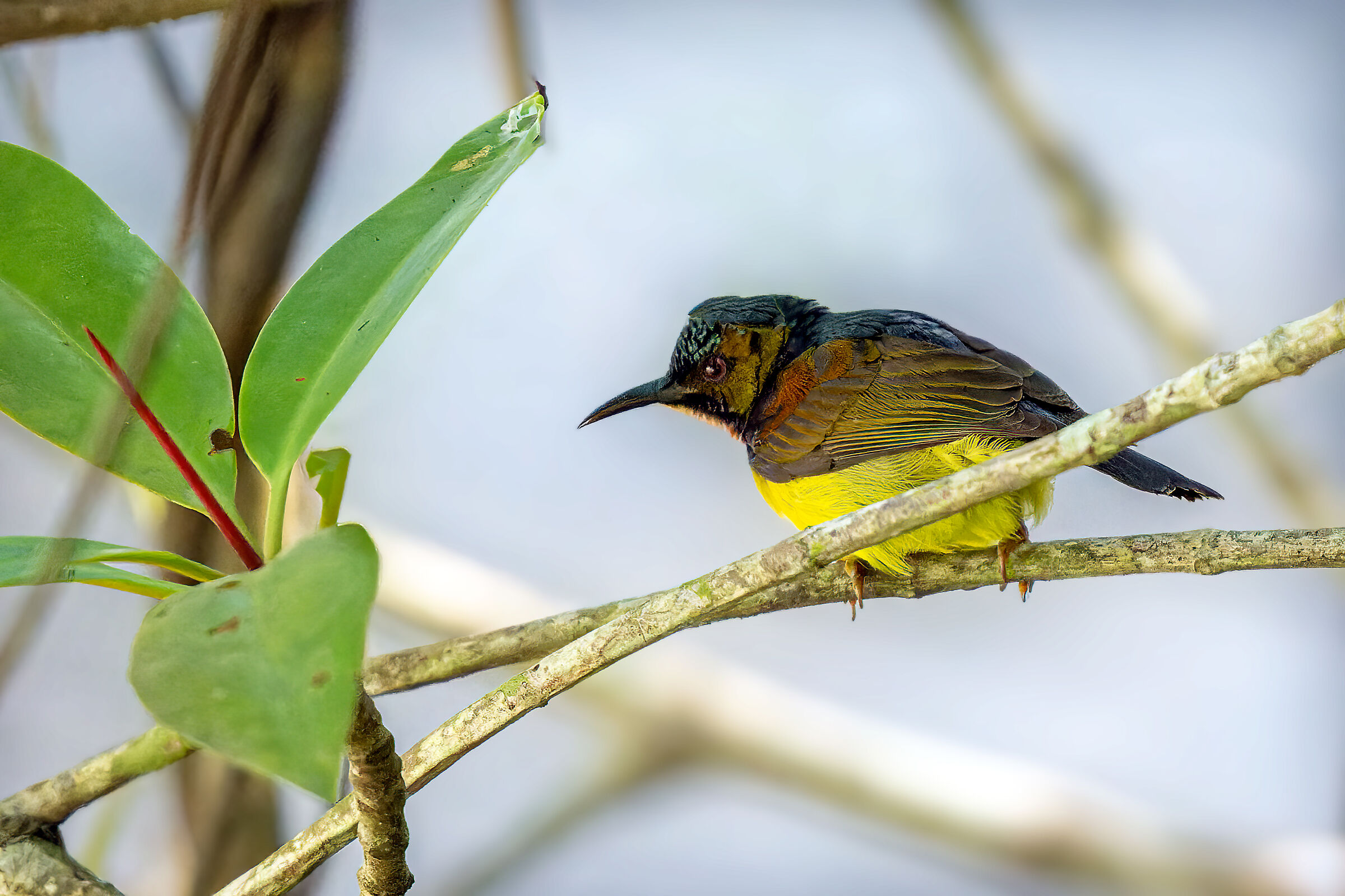 Untitled Photo