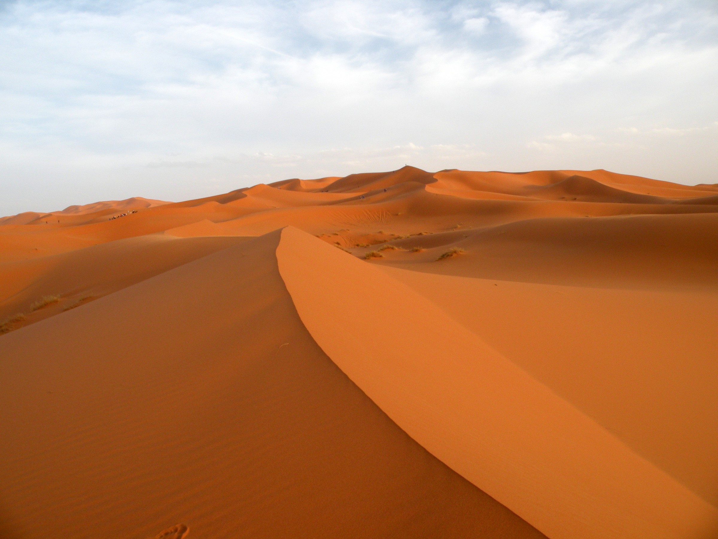 Per le dune di Merzouga
