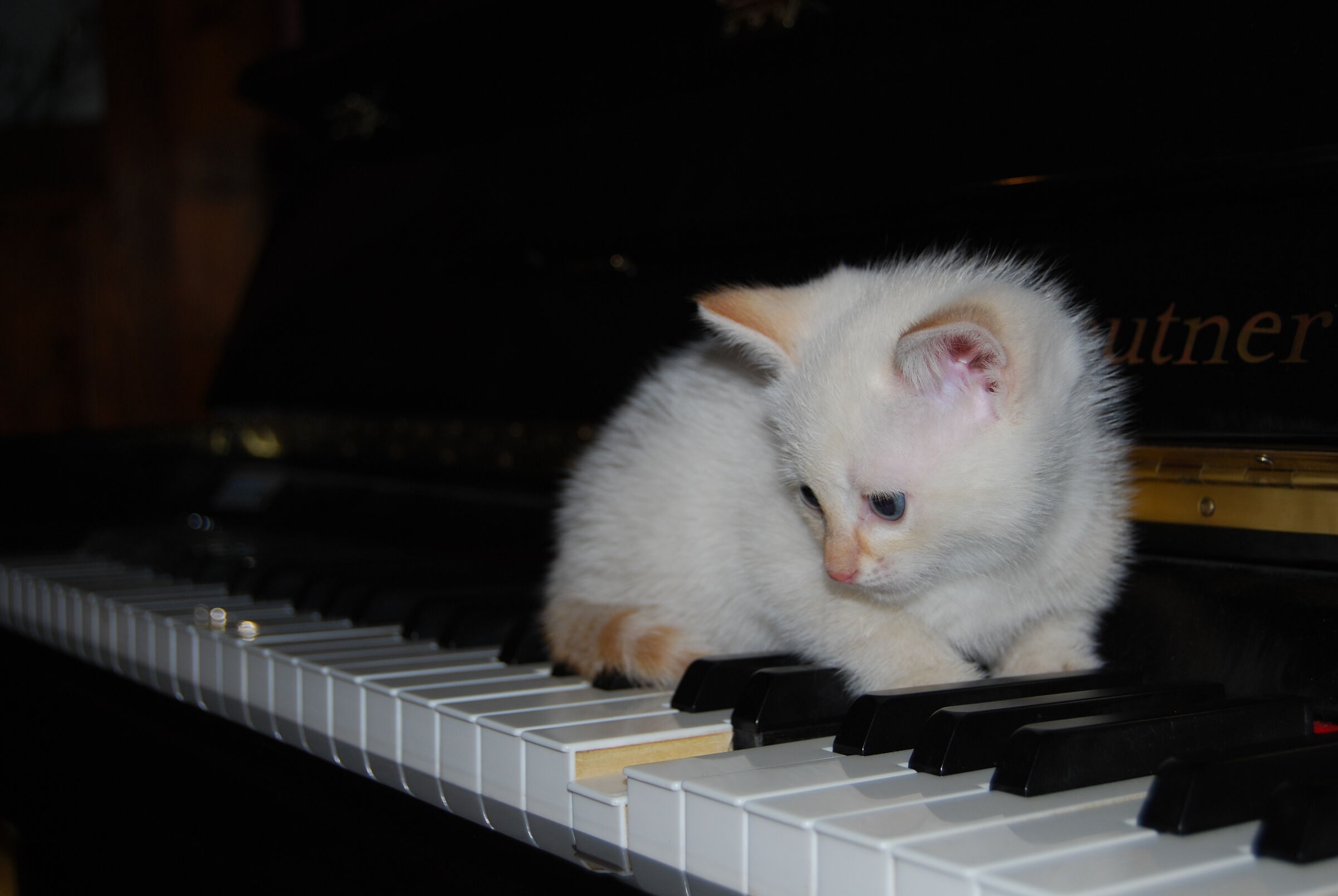 Music is learned as a child