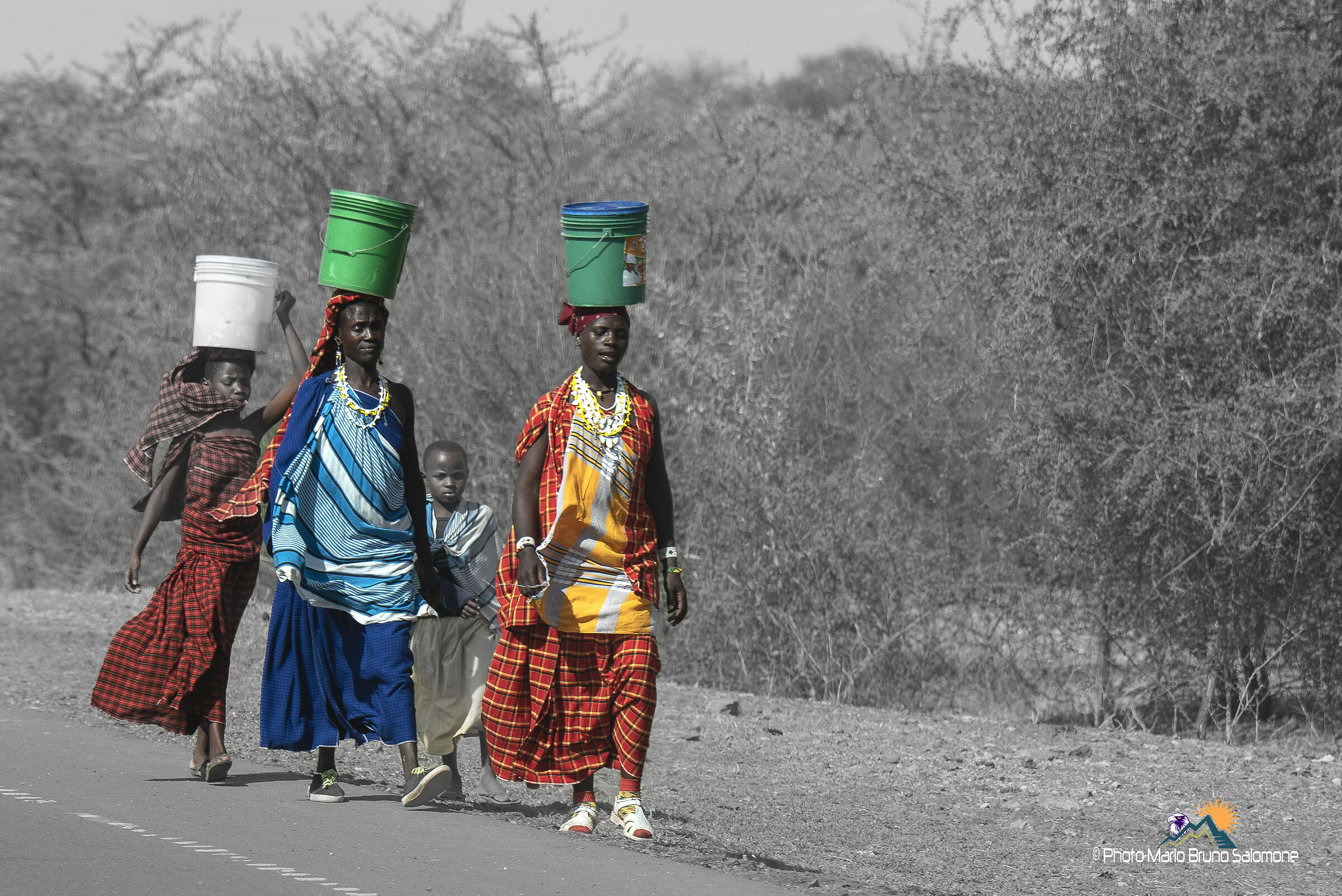 Colors of Africa