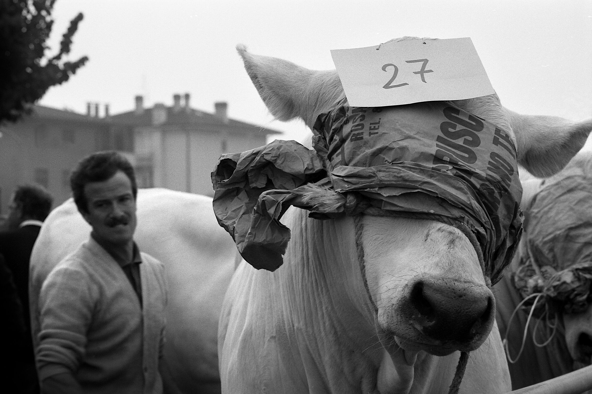 1988 Bassano d.G. "fiera franca"