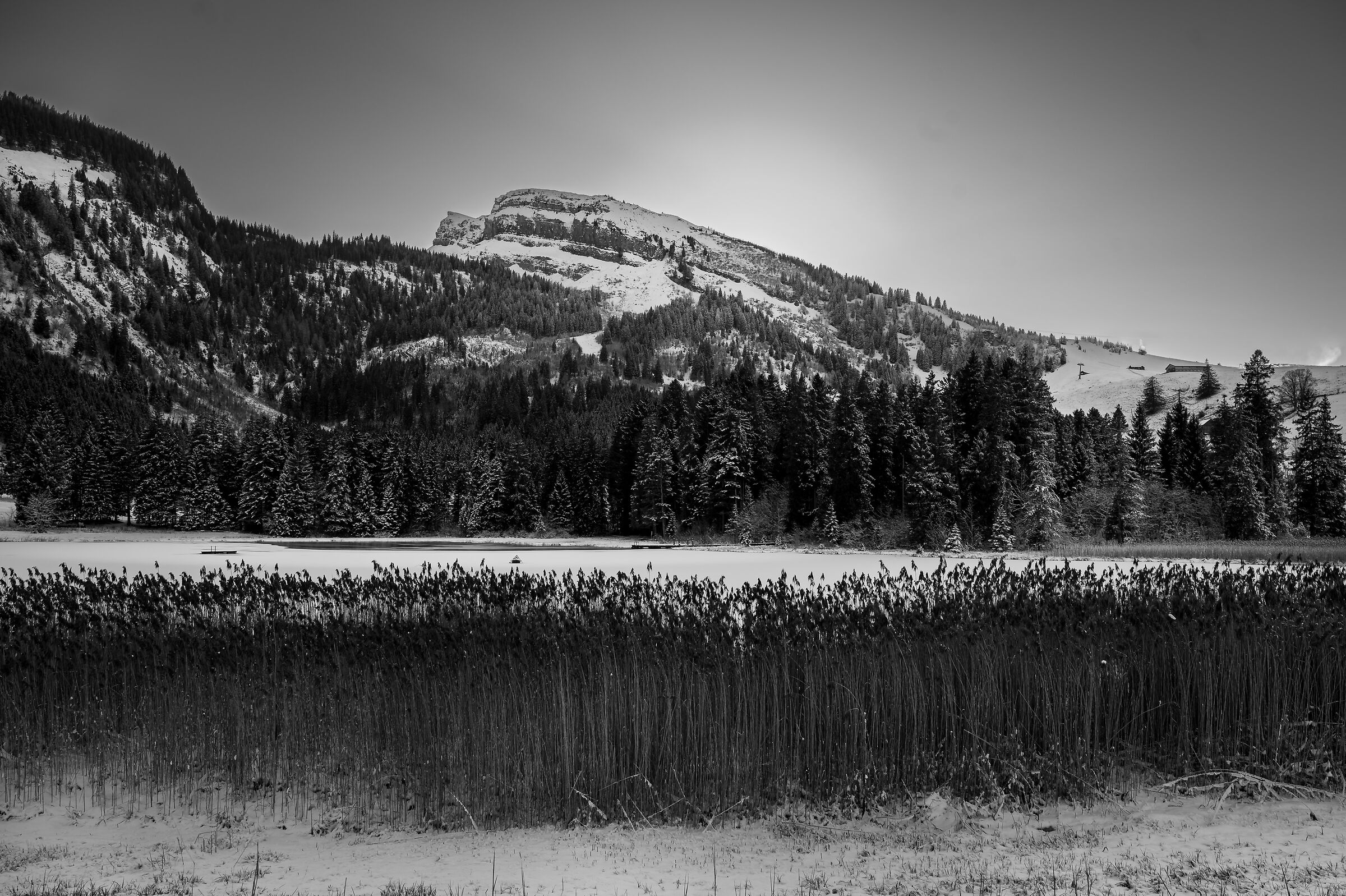 Schwendisee in winter