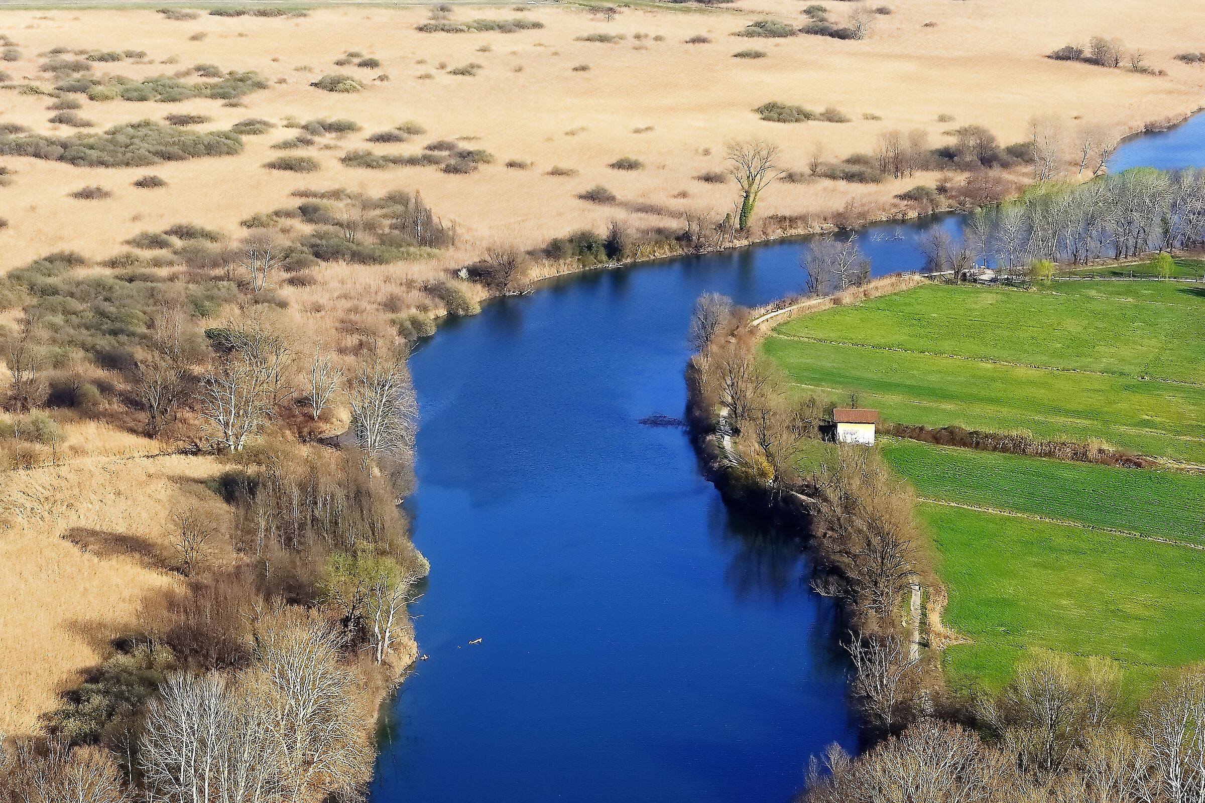 Fiume Adda Airuno 12 marzo 2023