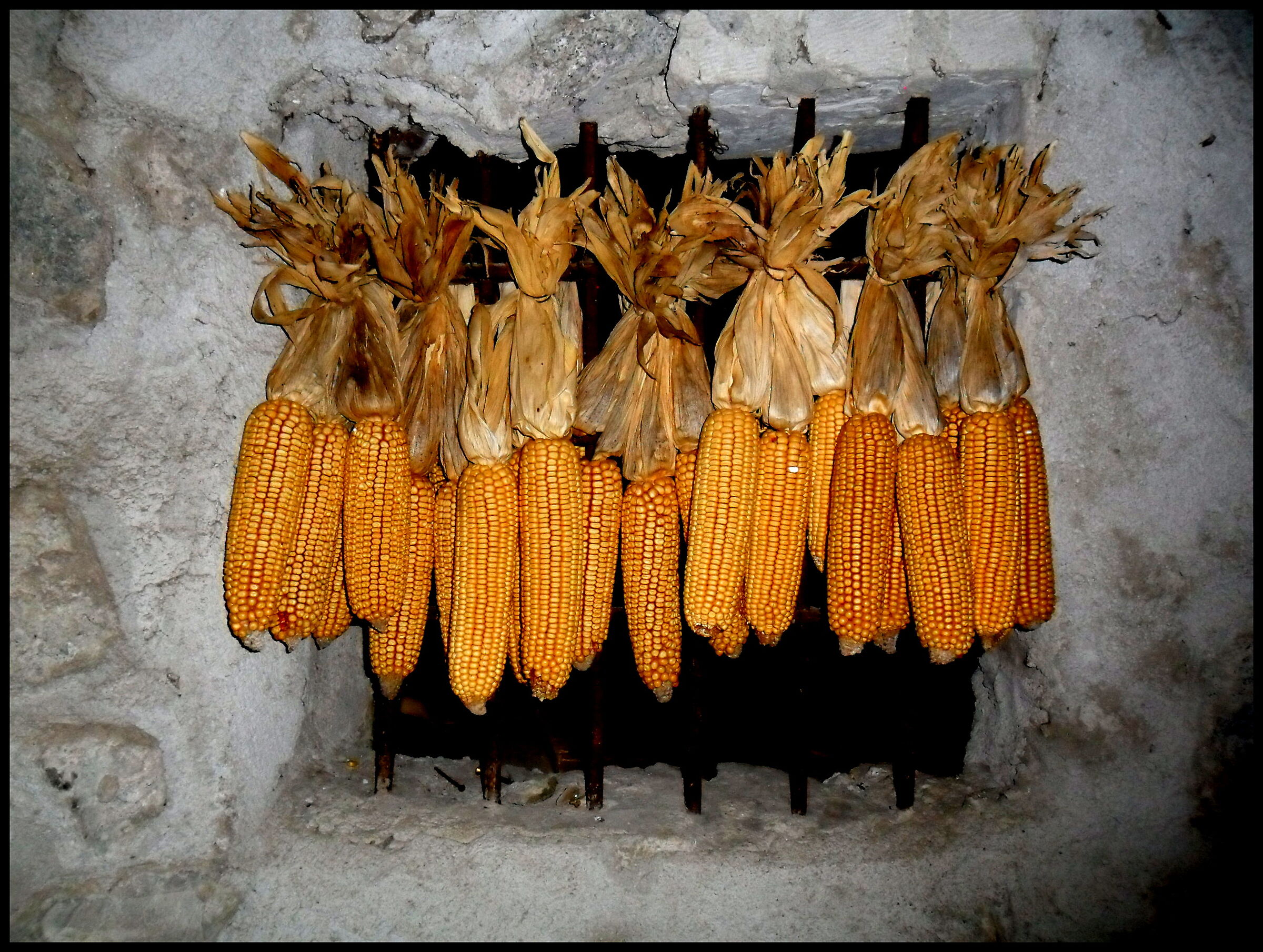 Harvesting