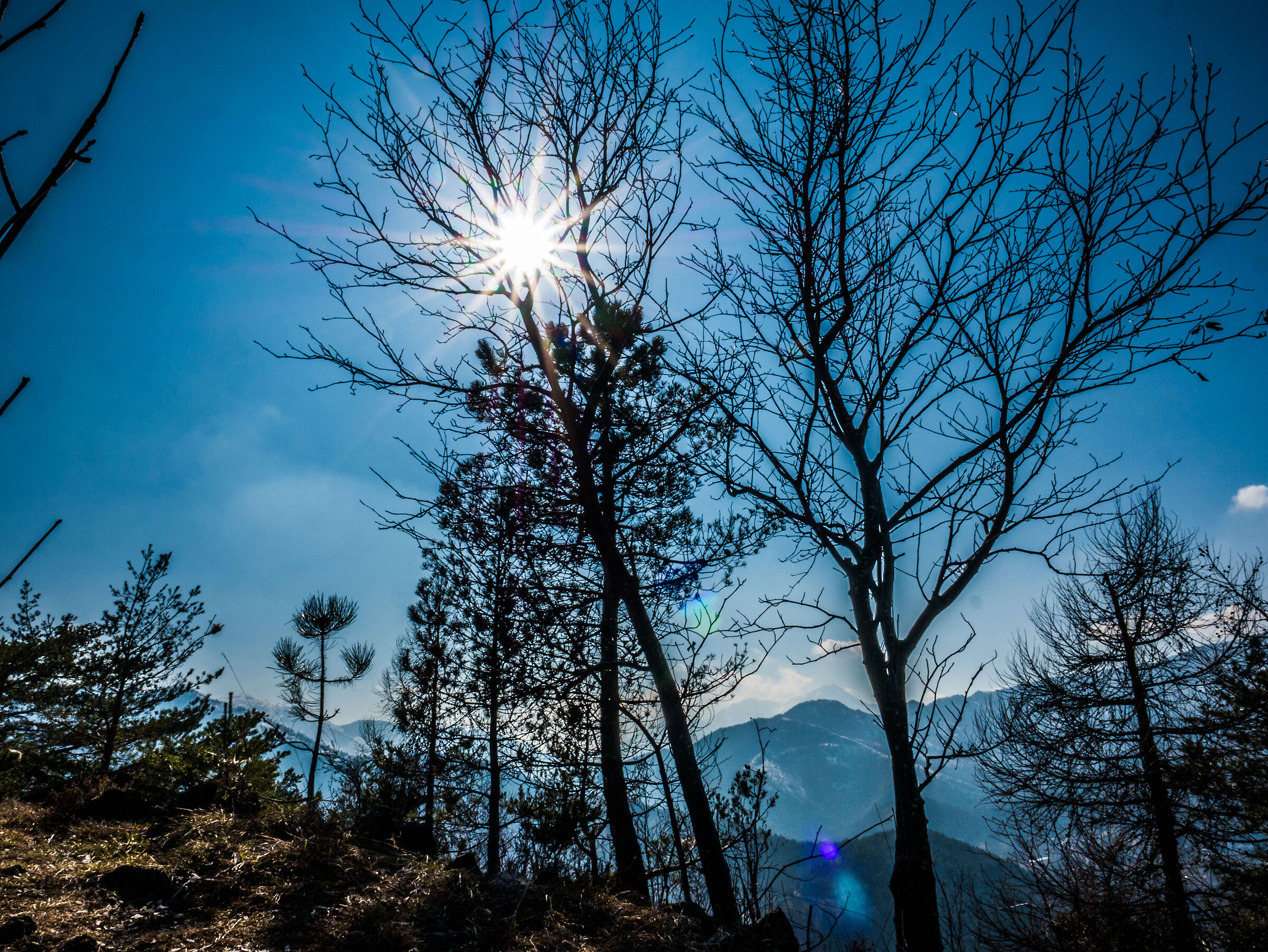 My first backlight *-*