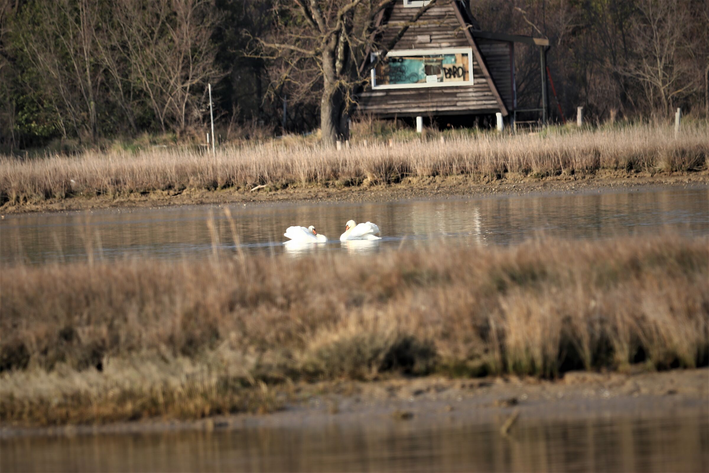 Untitled Photo