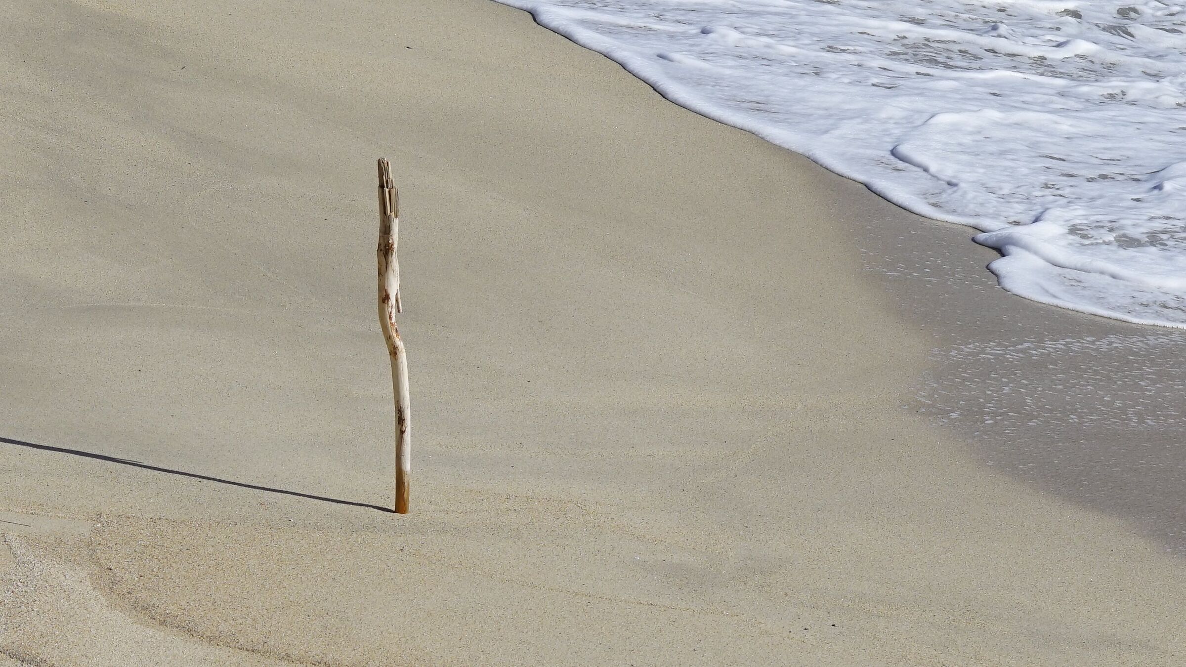 Loneliness