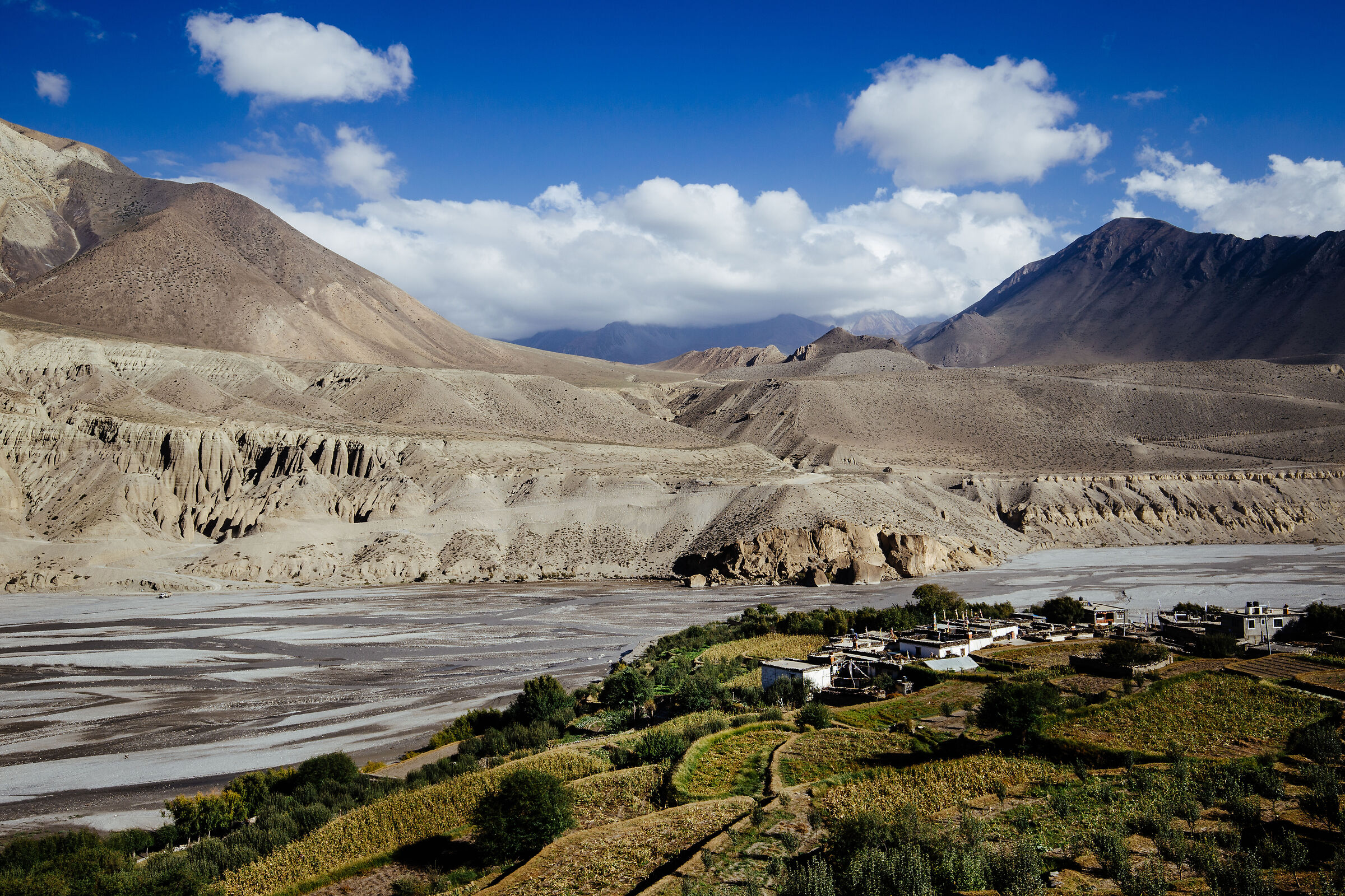 Senza Titolo