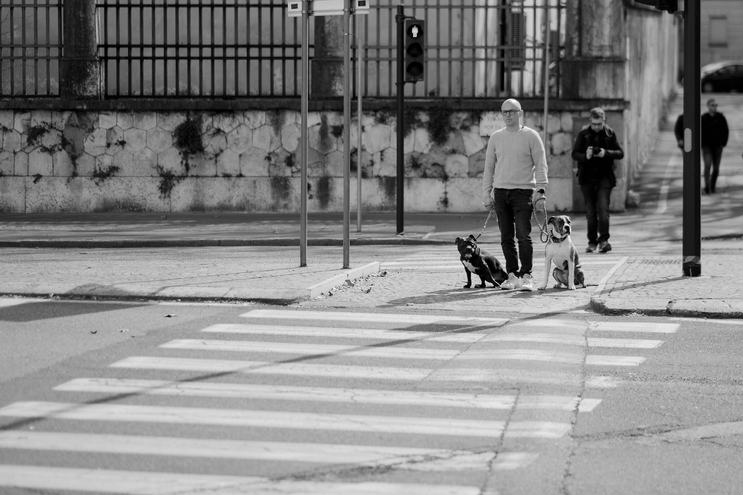 Who lets the dog out?