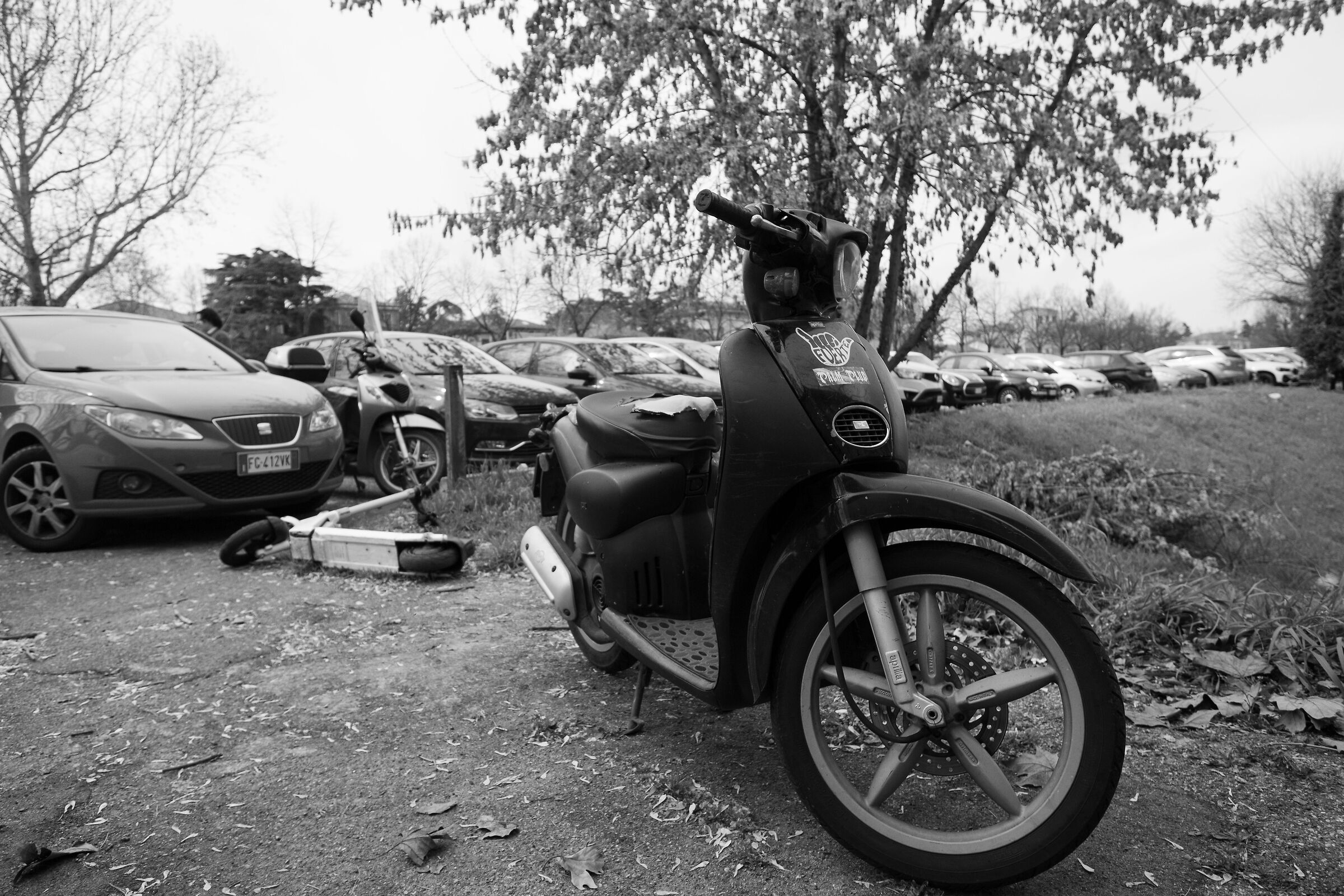 Porta palio e il suo disagio