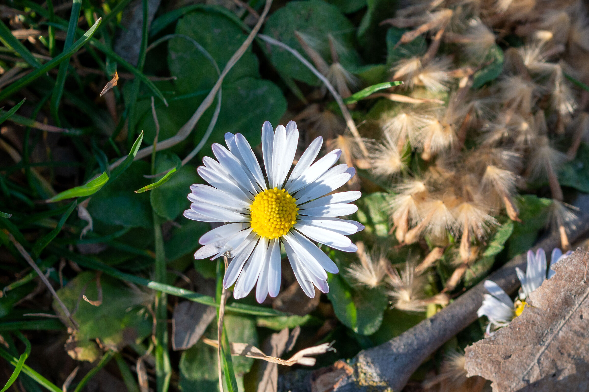 Better alone than ........