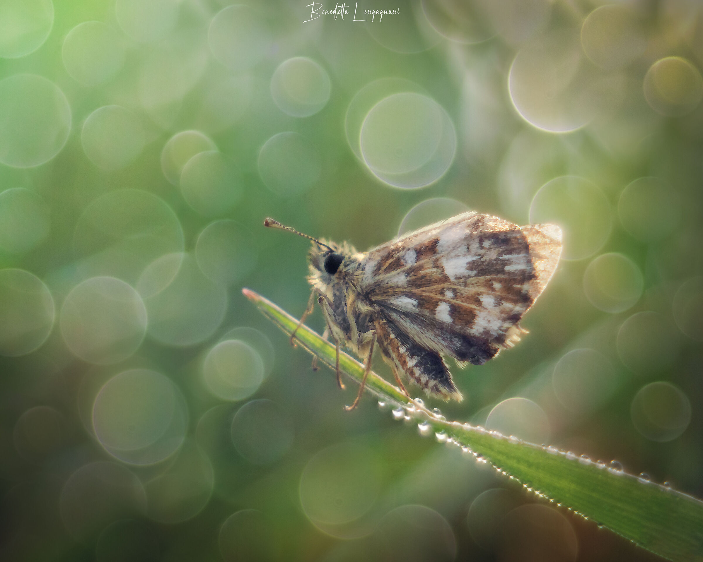 We're warming up... for the 2023 macro season