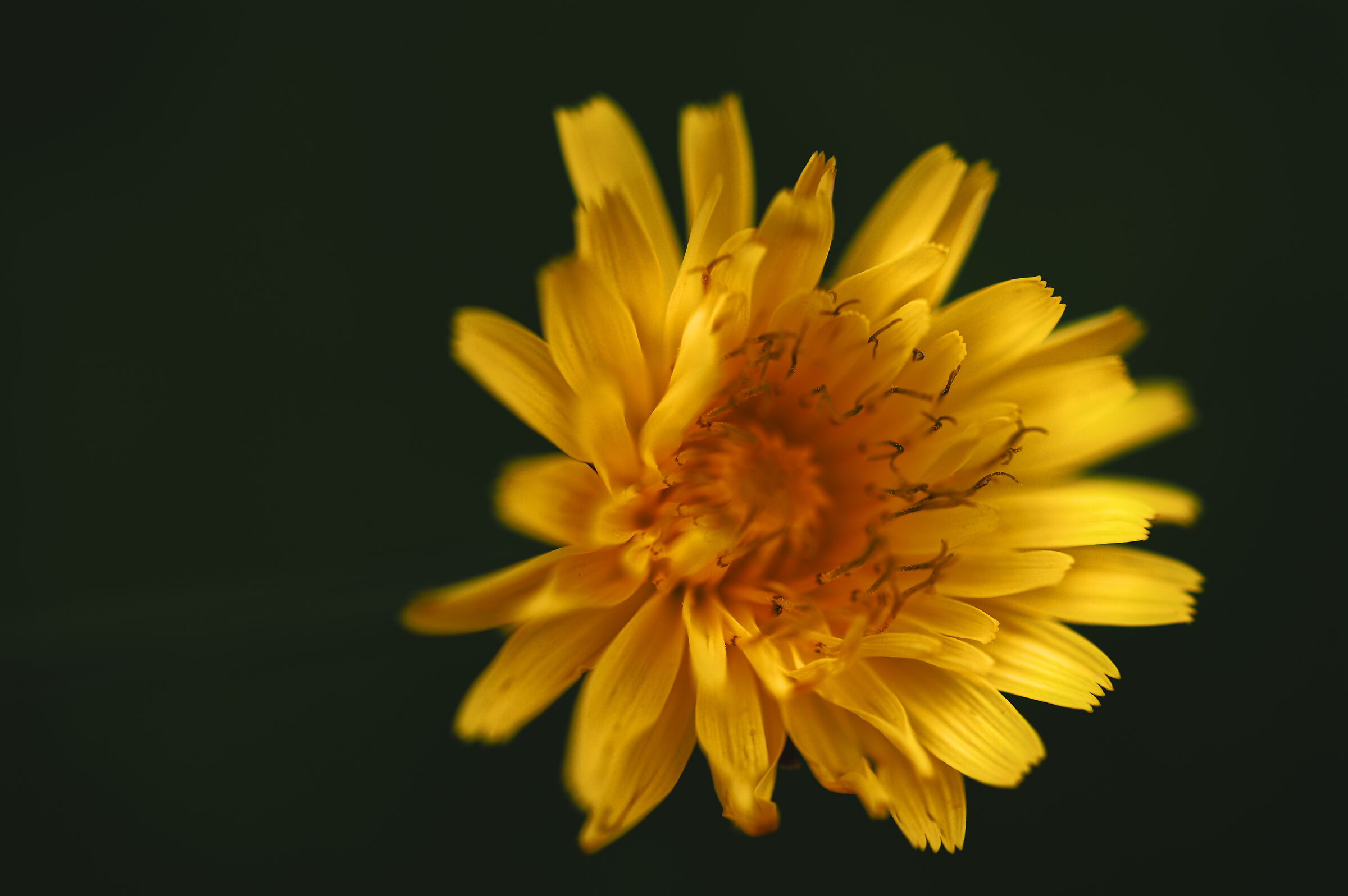 Untitled Photo
