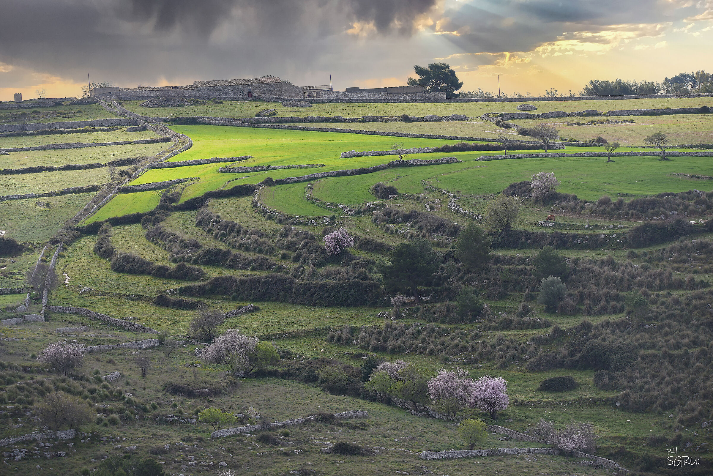 Hyblaean Countryside