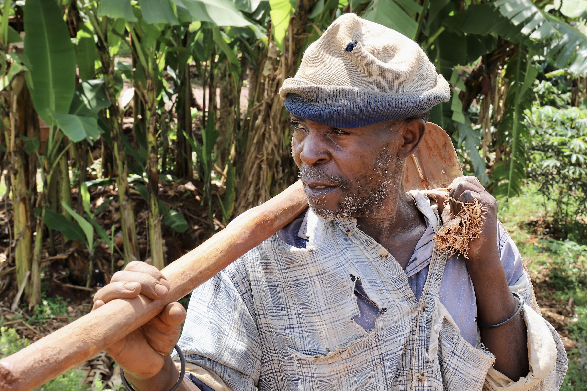 Man who goes to work the land