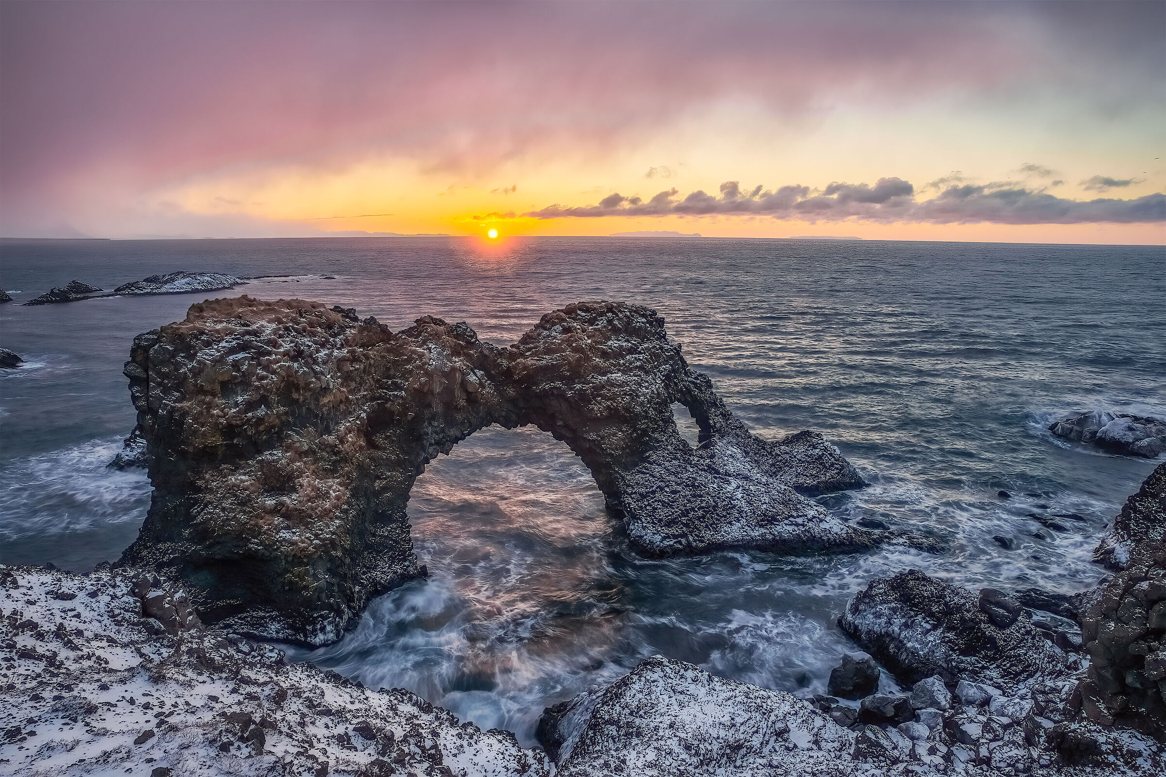 Fredda alba islandese