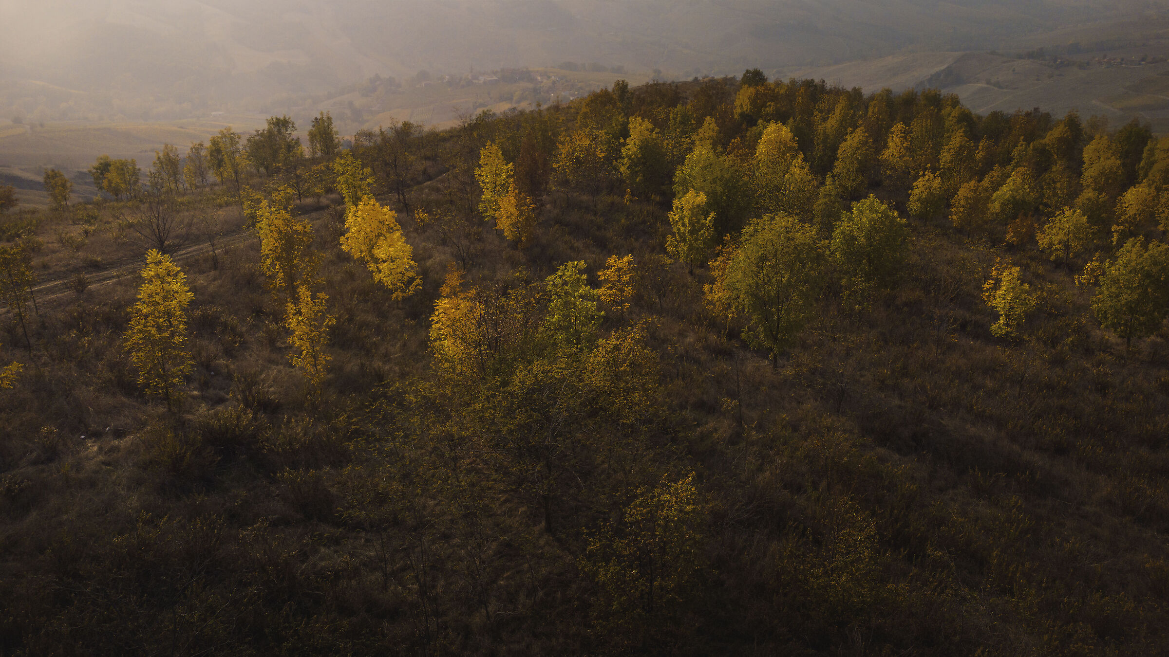 As an autumn light