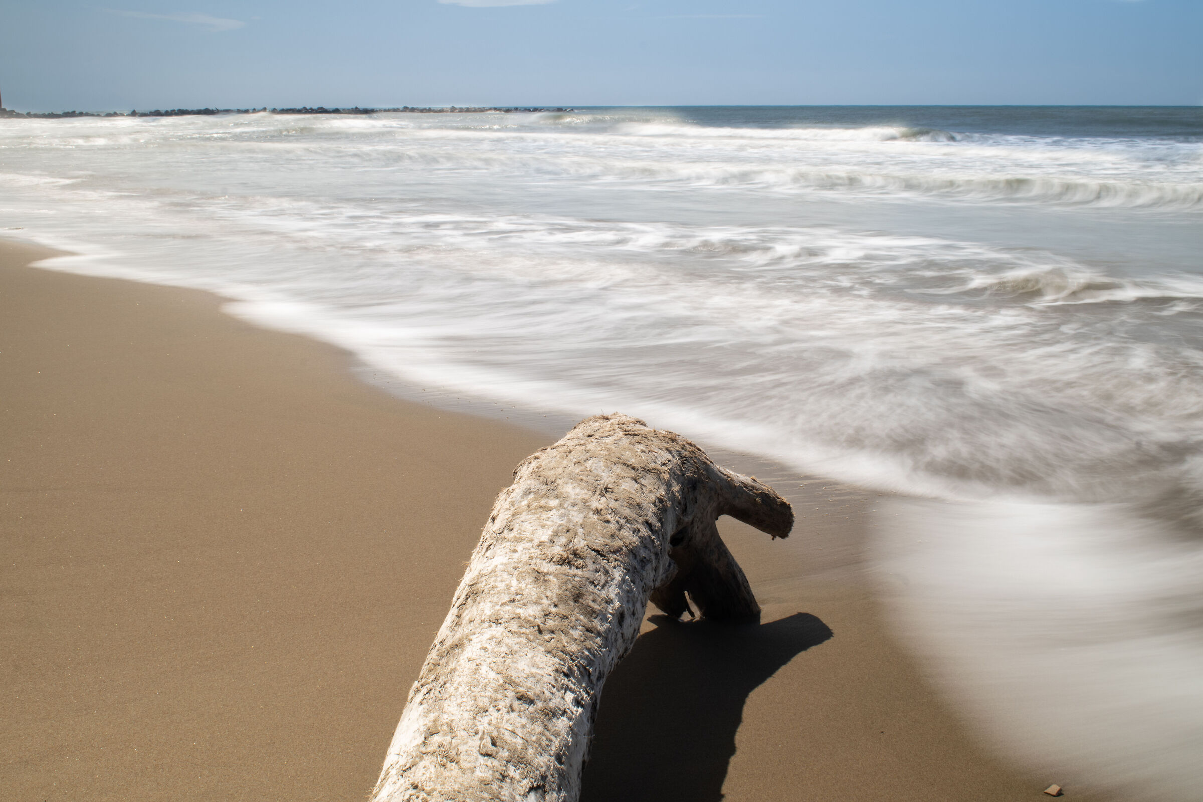 THE SEA OF ANZIO