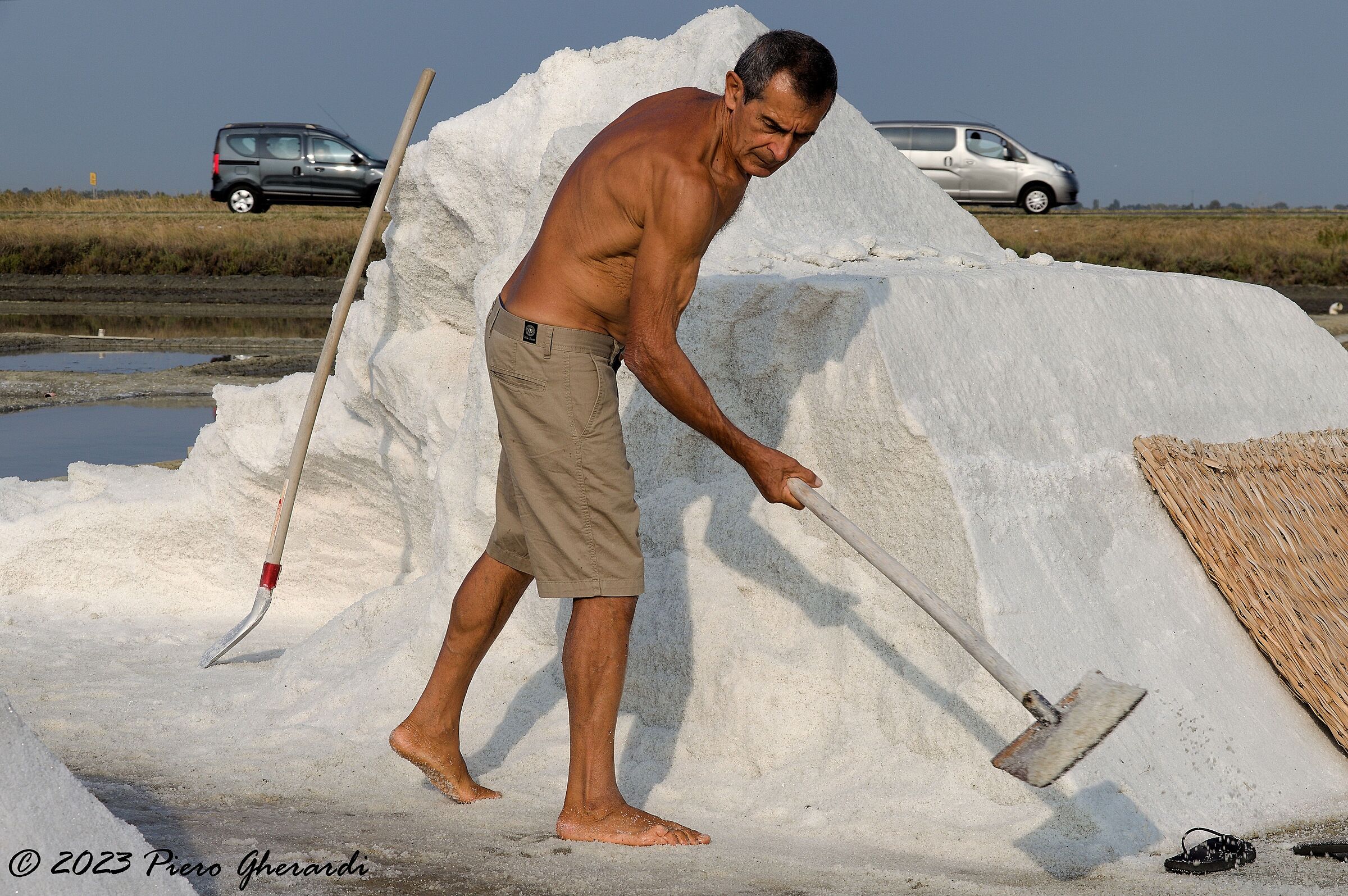 Saline di Cervia