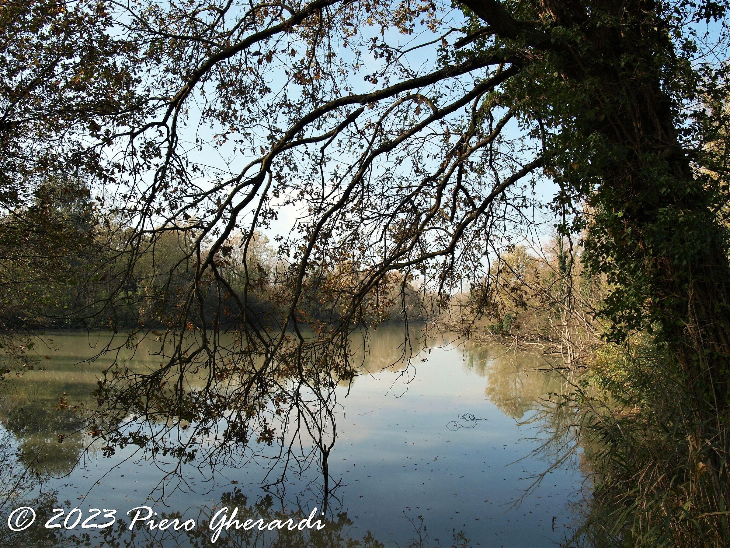 Punte Alberete