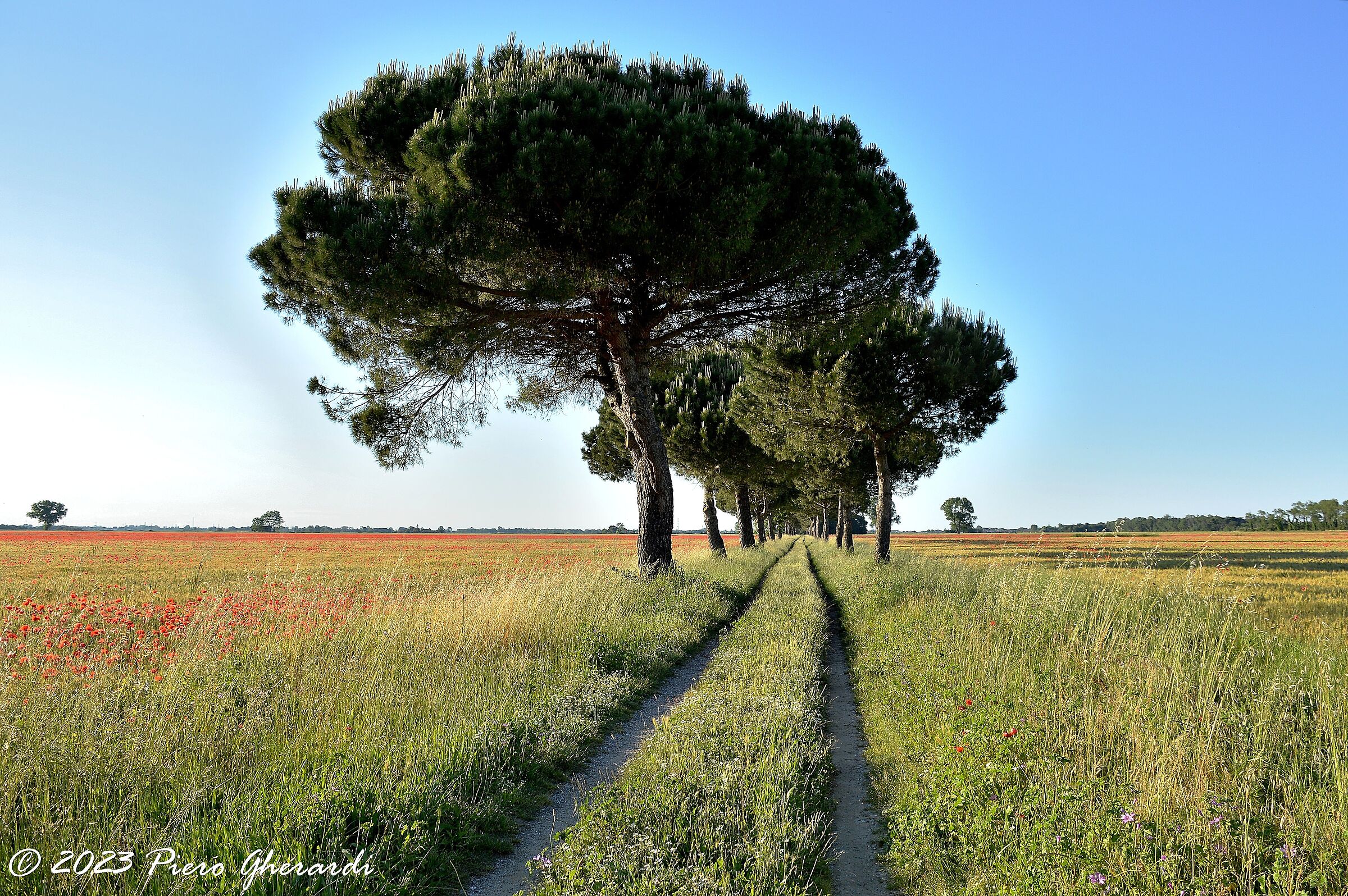 Campagna