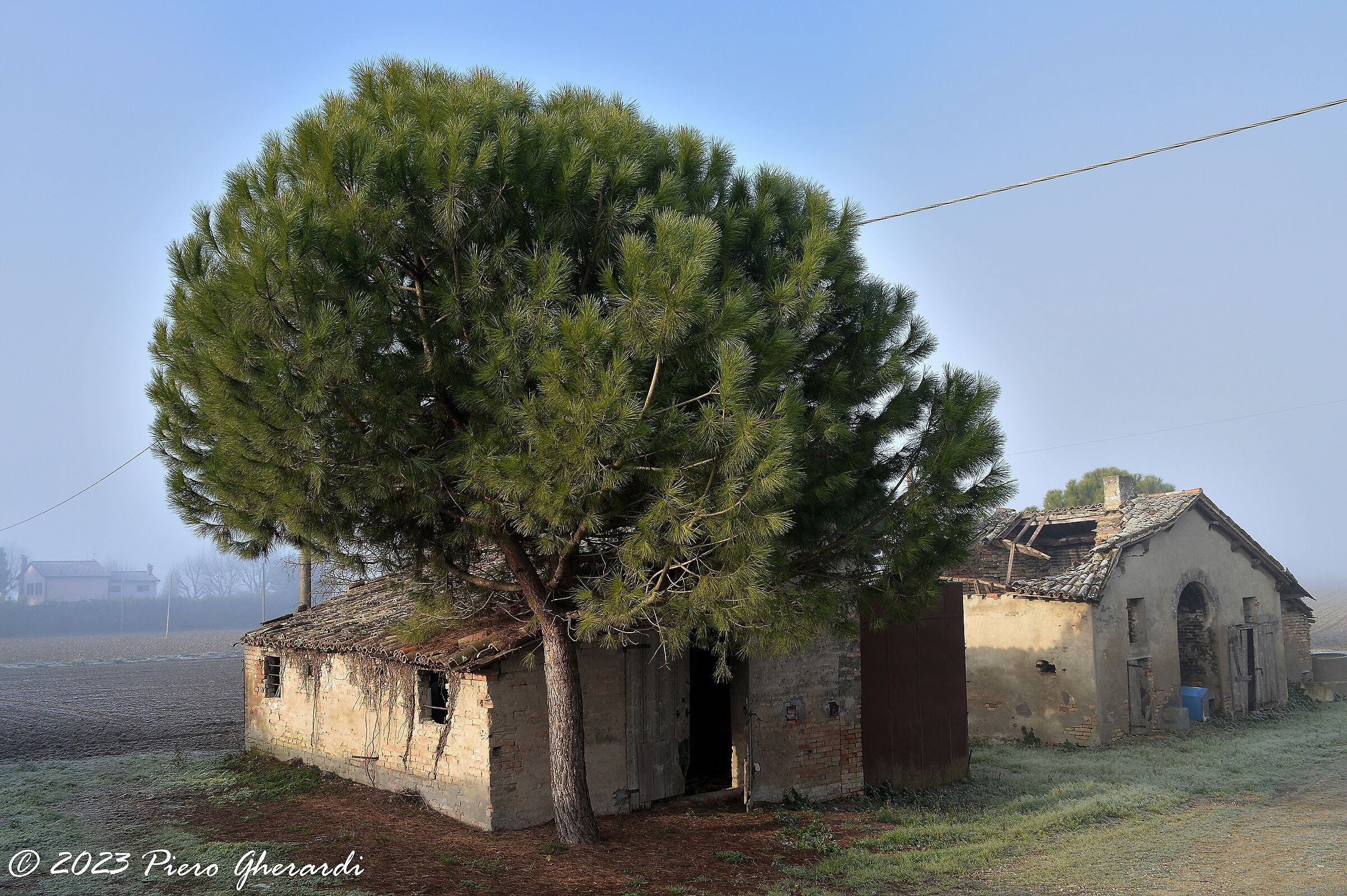 Ruderi