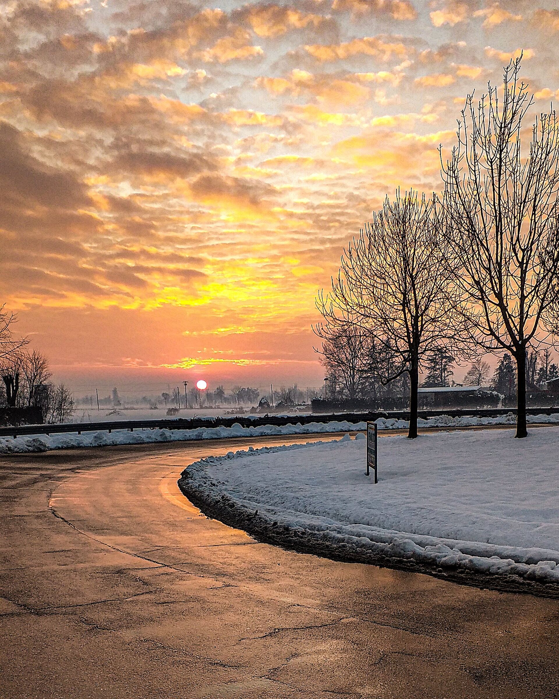 Untitled Photo