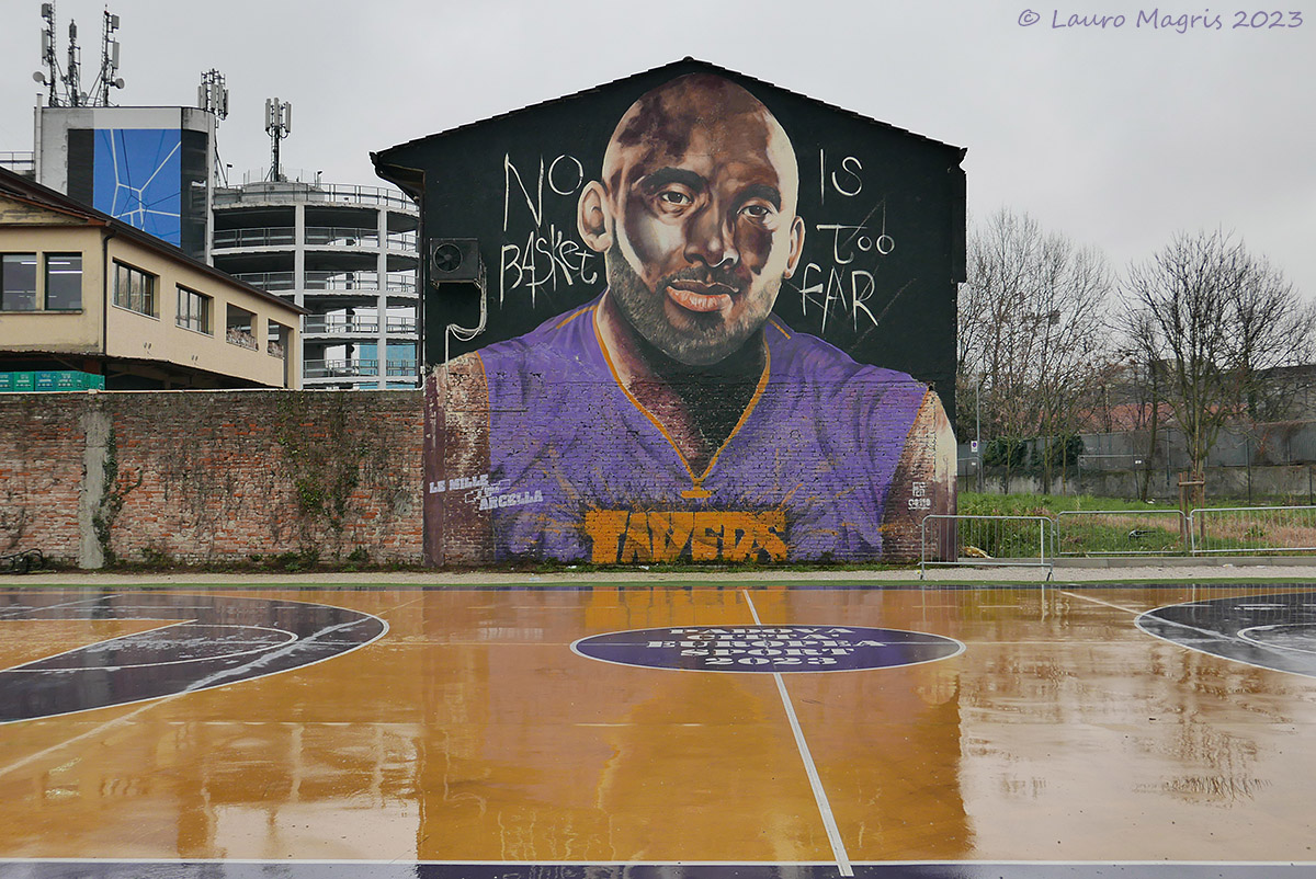 No basket is too far