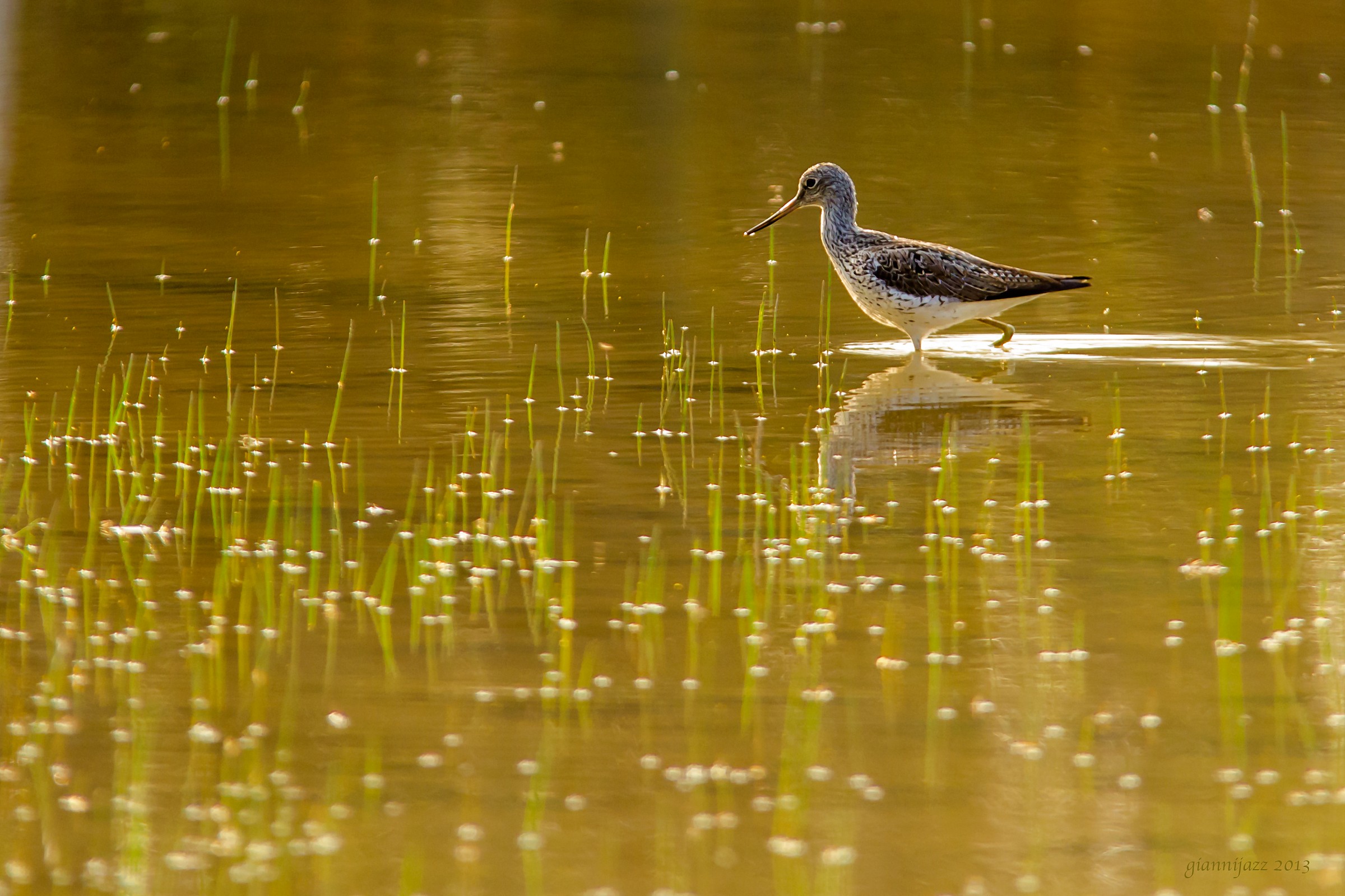 luce radente al tramonto