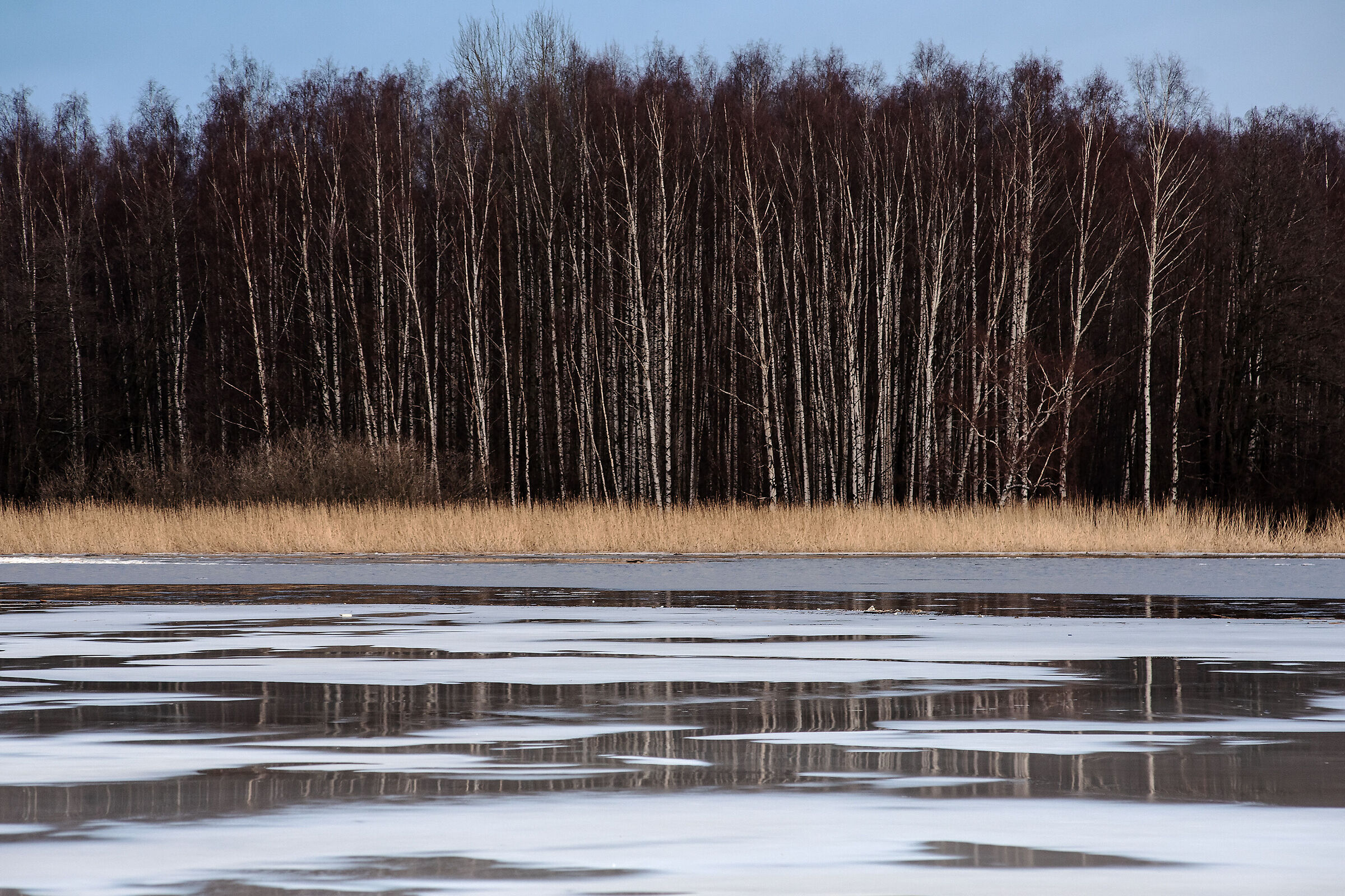Along the frozen river.