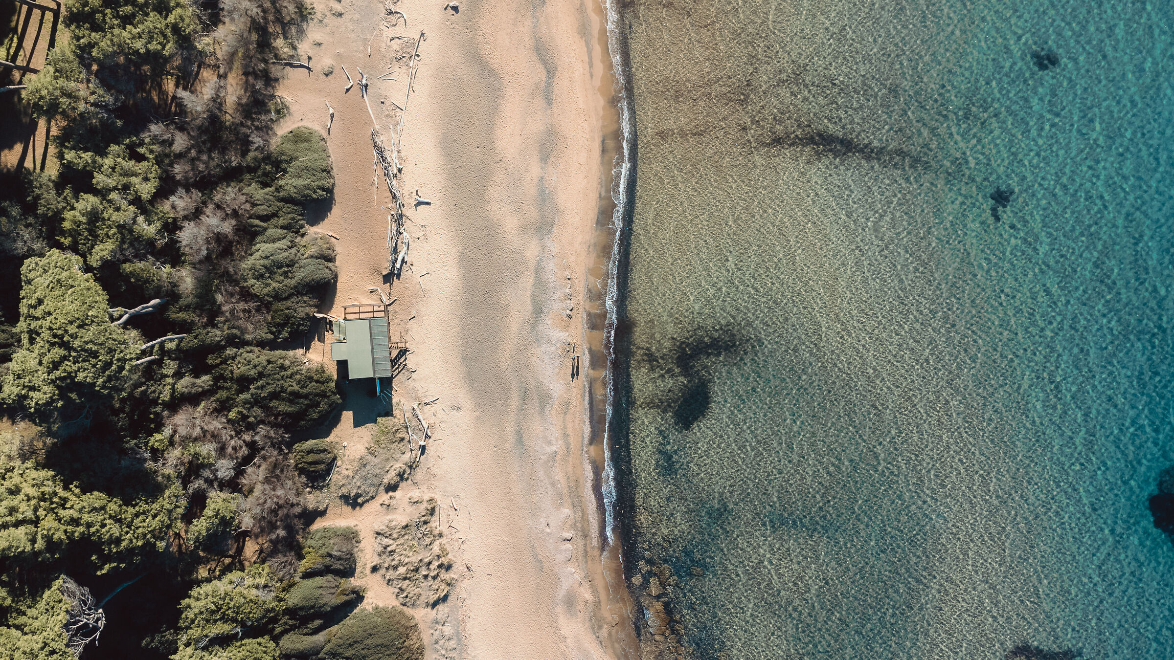 Above the Bay