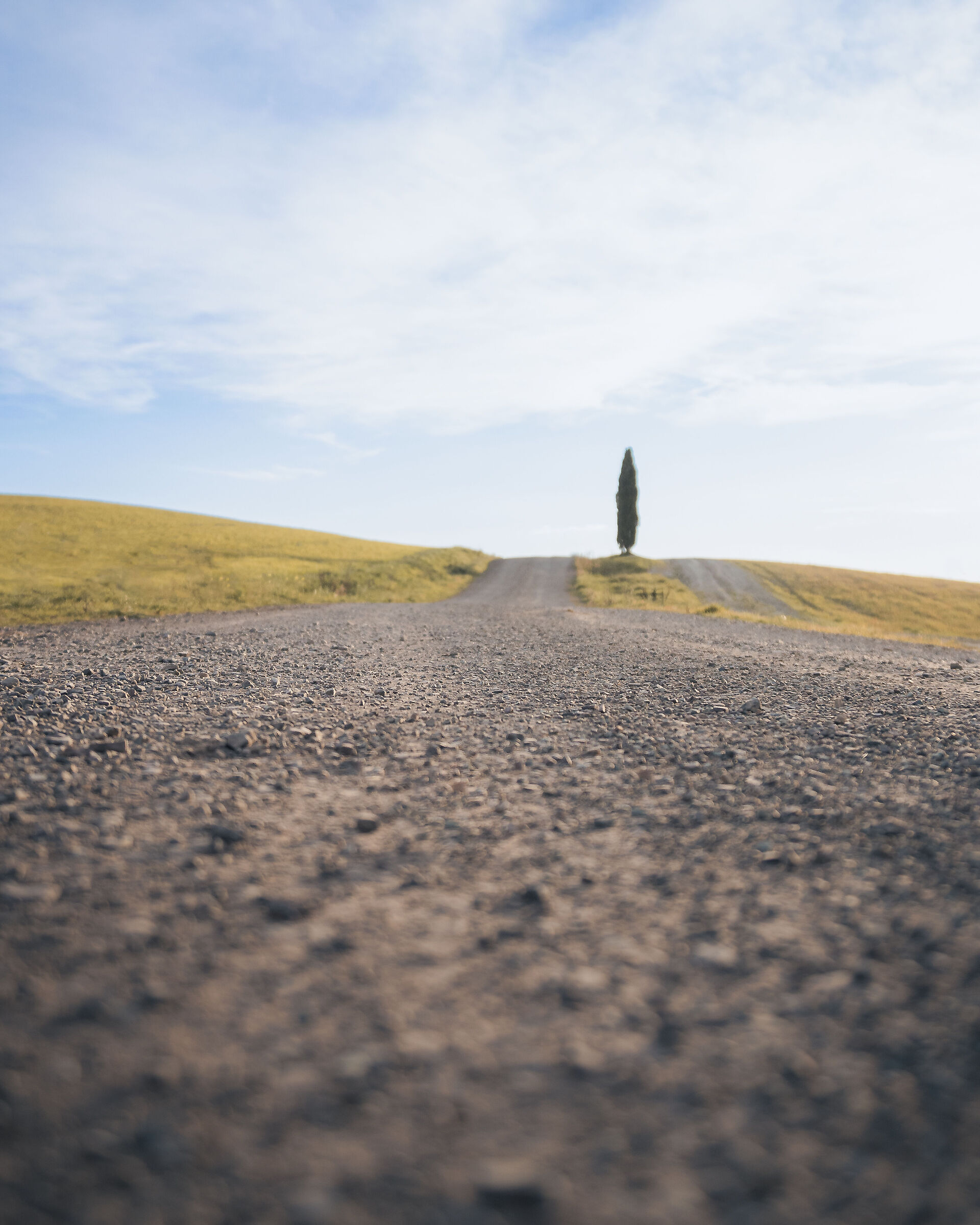 Verso i Cipressi