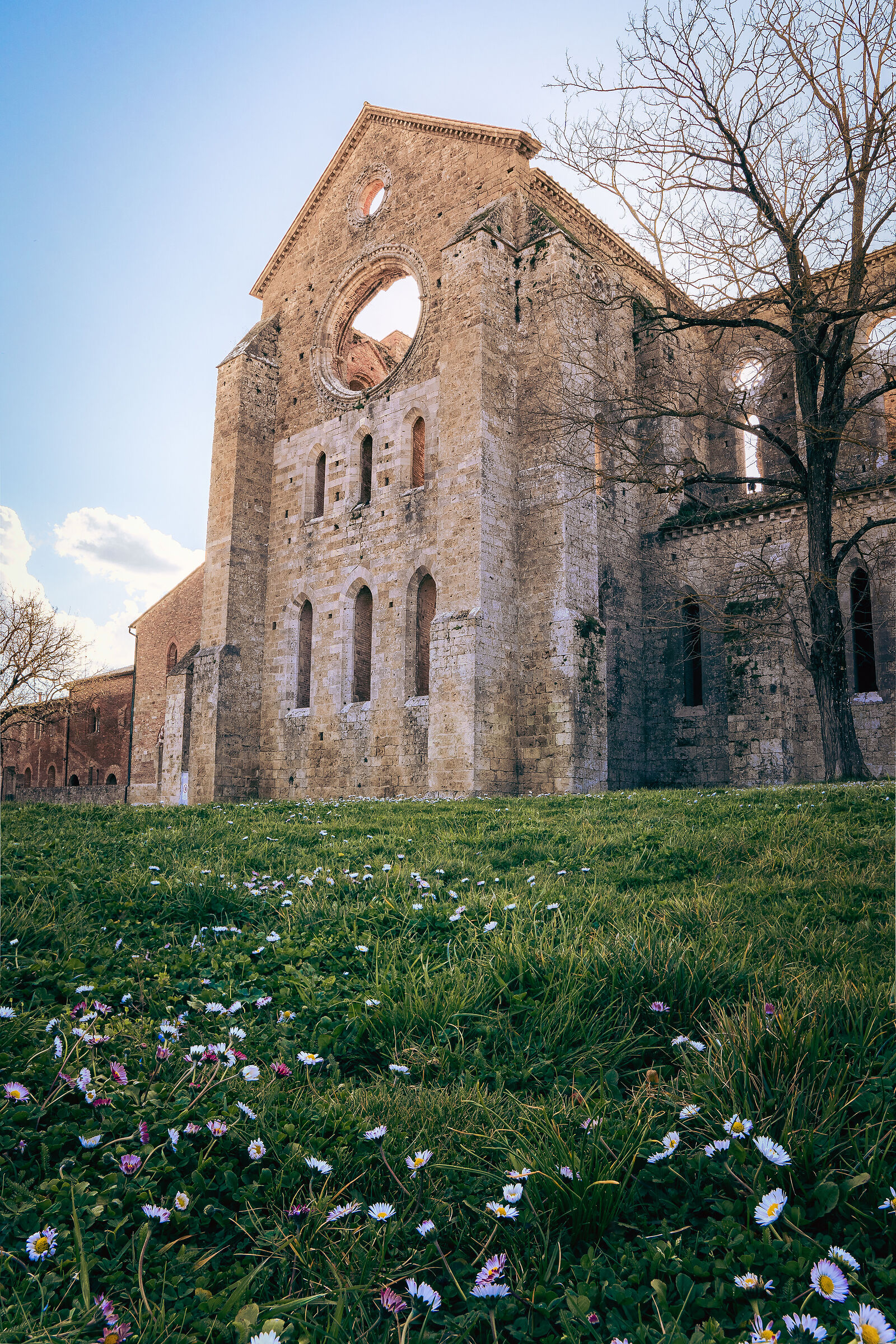 Abbazia di S. Galgano