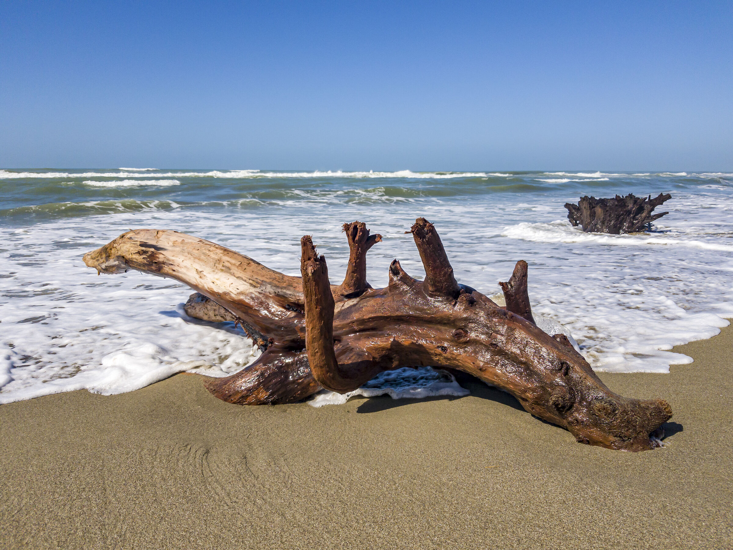 The beach after the Storm