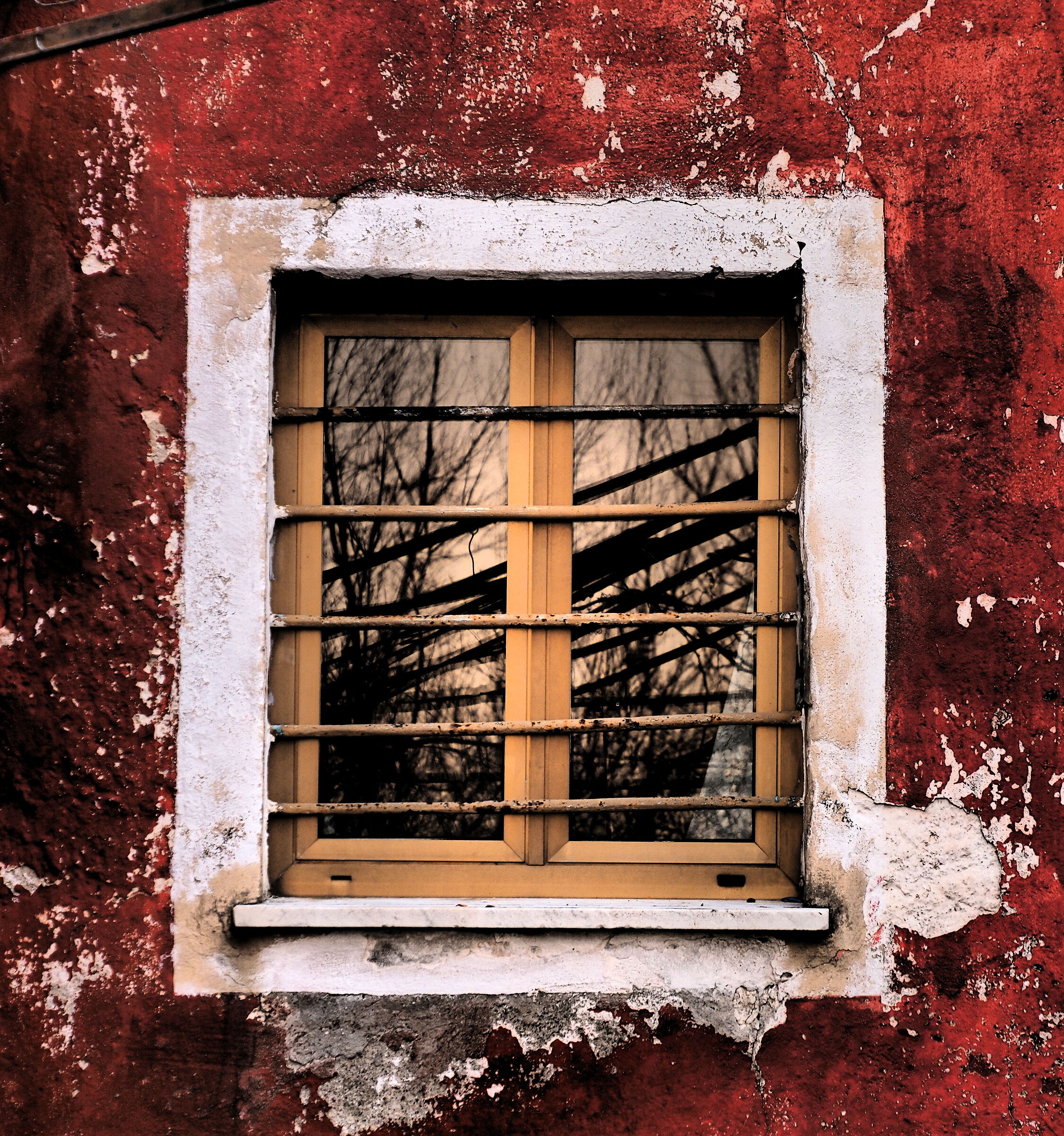 The Red House