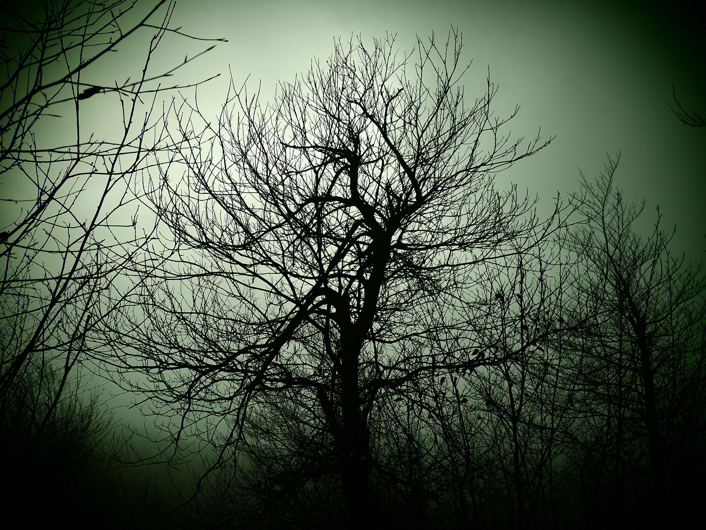 Restlessness