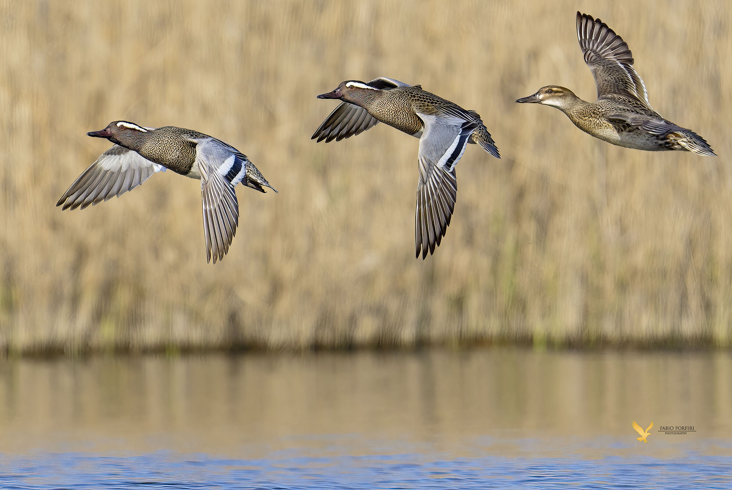 prima della guerra....
