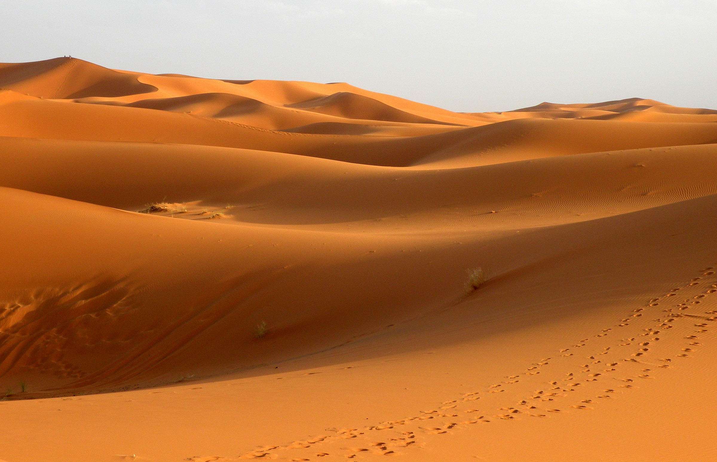 Luci, ombre e impronte a Merzouga