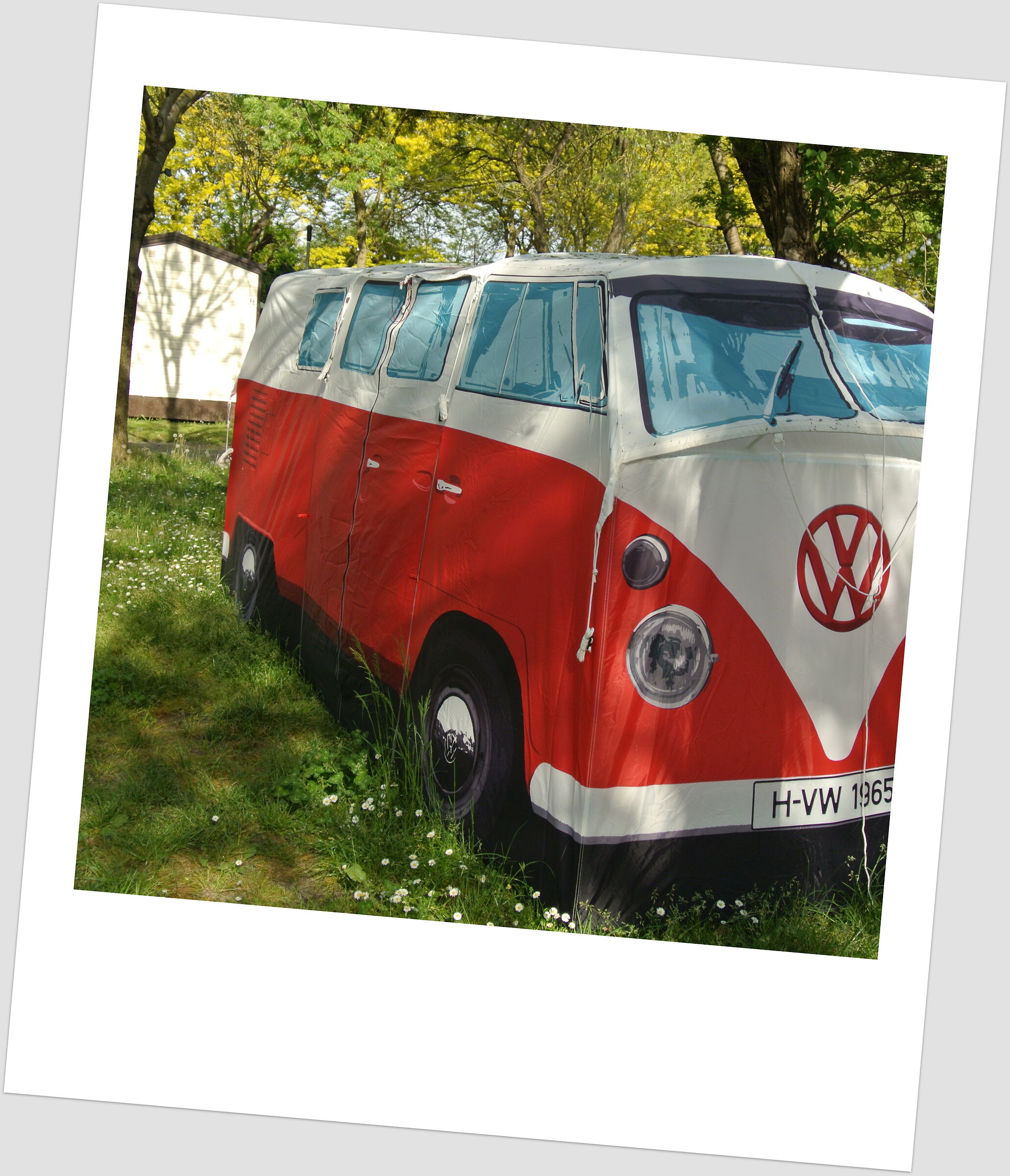 the real one I couldn't afford