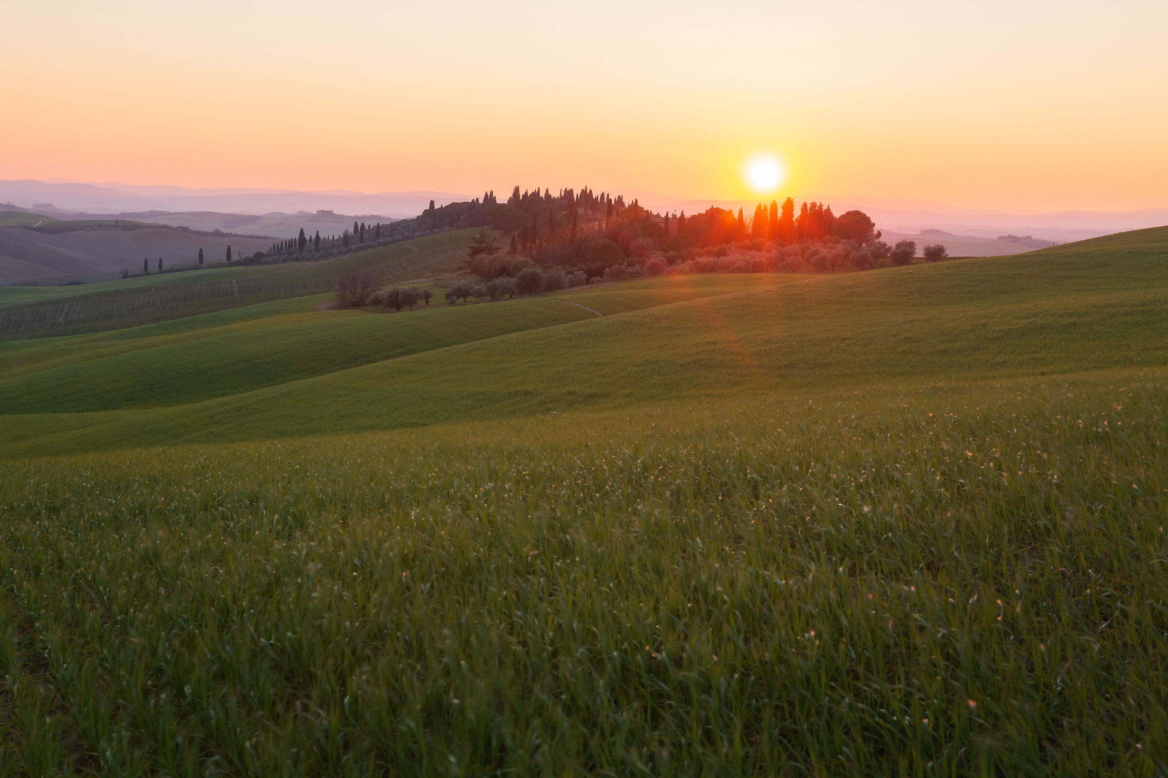 Crete Senesi