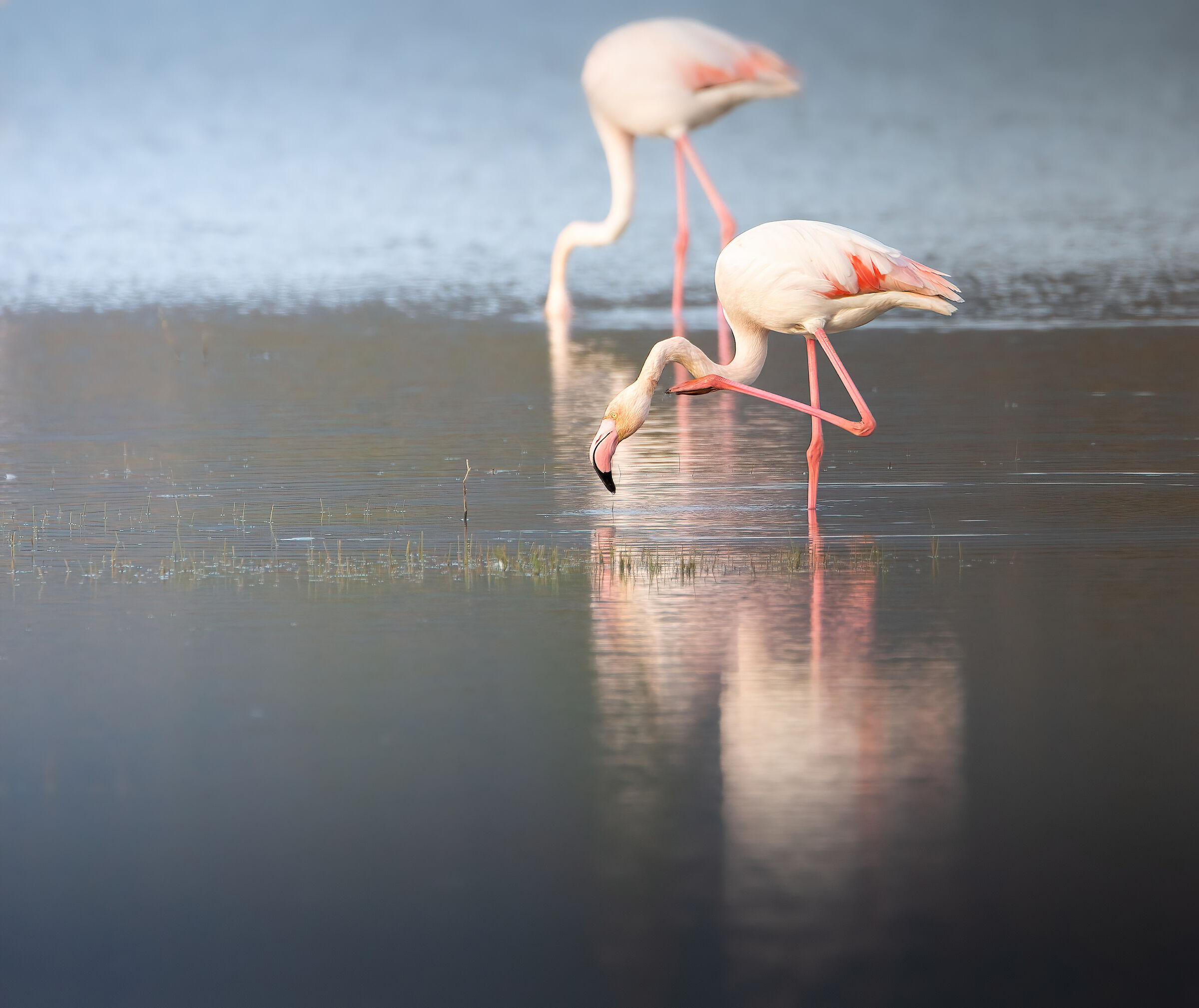 Imperfect reflections